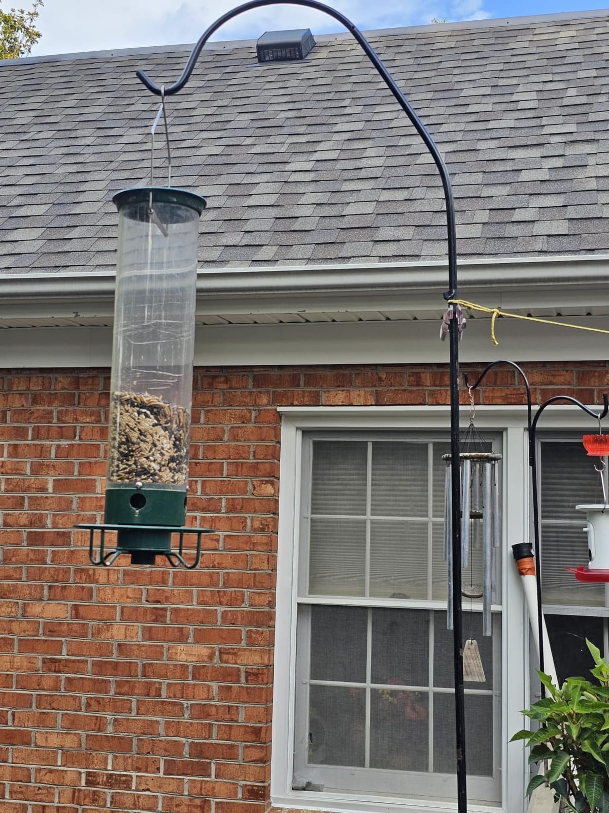 Droll Yankees Squirrel Proof Bird Feeder for Outdoors, 5 lb Seed Capacity | Rechargeable Weight-Activated Rotating Perch, Metal Base, UV-Stabilized Seed Tube, Hanging Bird Feeder, Green Yankee Flipper customer photo 1