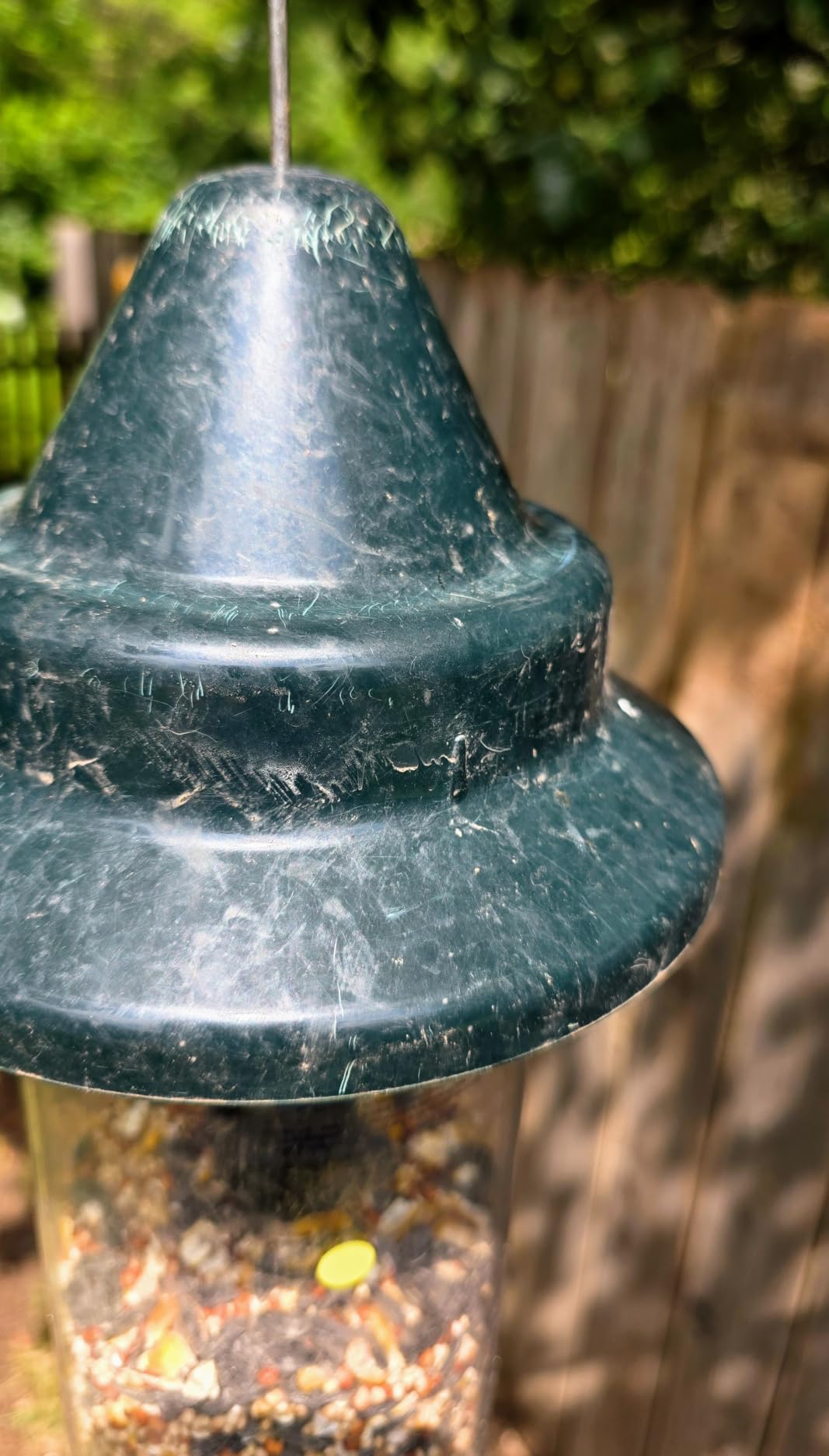 Squirrel Buster Plus Squirrel-proof Bird Feeder w/Cardinal Ring and 6 Feeding Ports, 5.1-pound Seed Capacity, Adjustable, Pole-mountable (POLE ADAPTOR SOLD SEPARATELY), Green customer photo 1