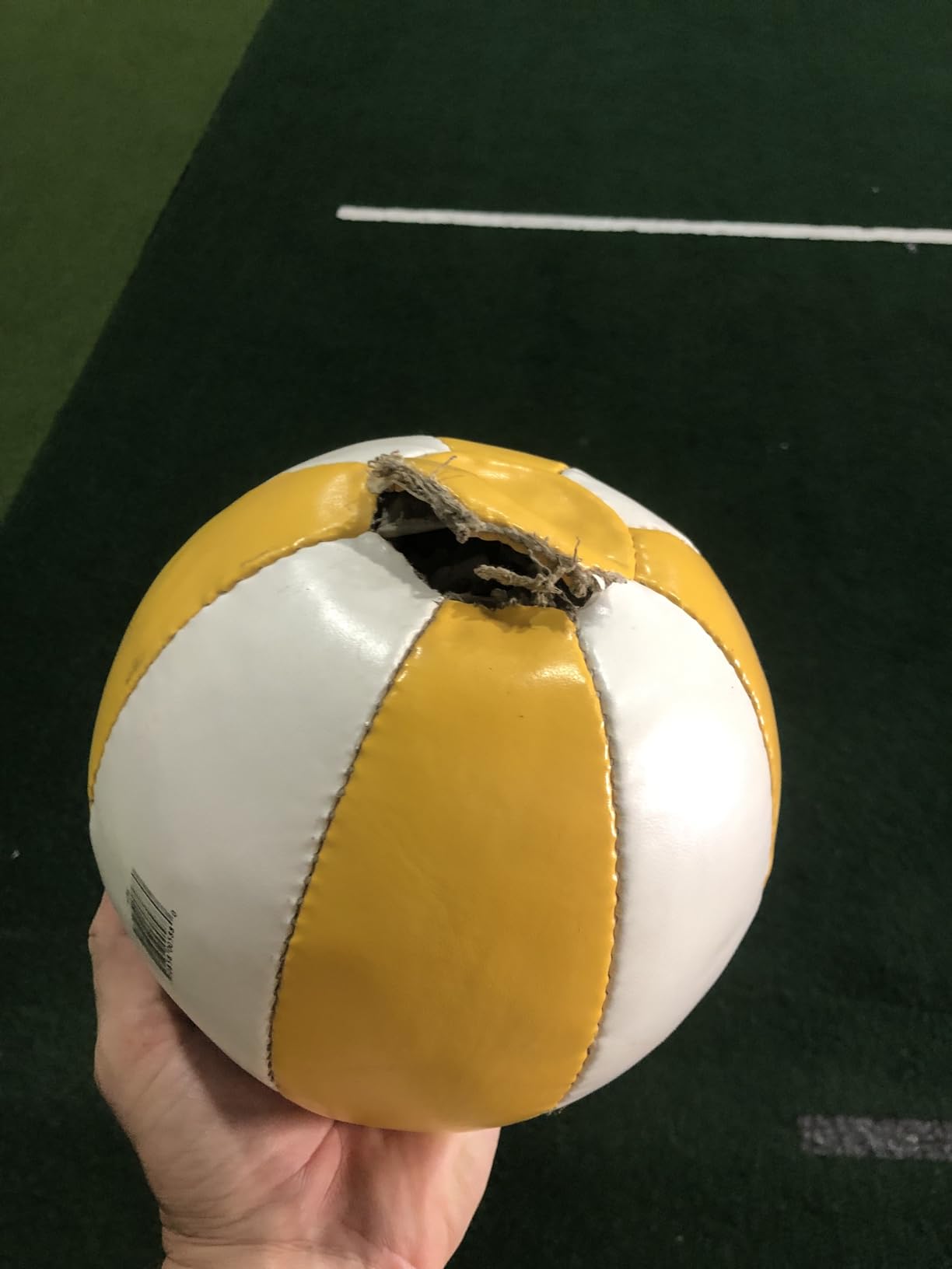 Champion Sports Leather Medicine Balls - Durable Weighted Balls for Strength, Core & Conditioning Training customer photo 1