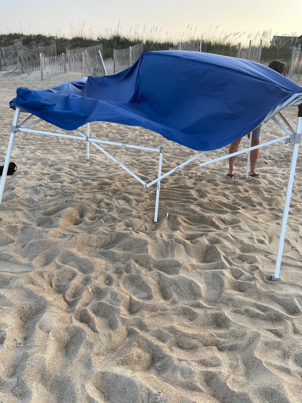 E-Z UP Sierra II Instant Pop Up Outdoor Canopy 10' x 10', Roller Bag and 4 Piece Spike Set, Royal Blue customer photo 1