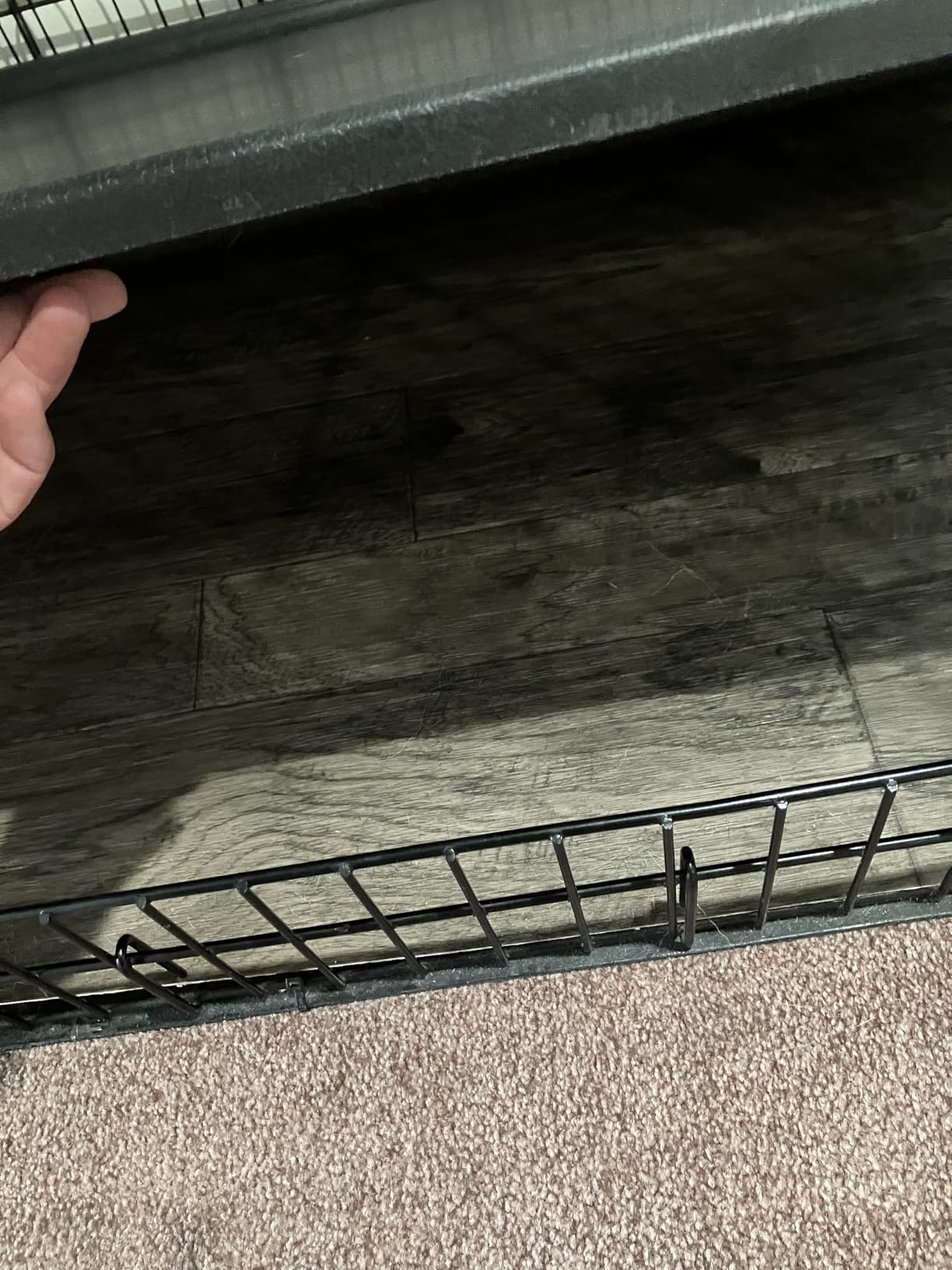 MidWest Homes for Pets 48-Inch iCrate for Extra-Large Breeds, 90-110 lbs, Double Door Folding Dog Crate with Divider Panel, Leak-Proof Tray & Secure Latches, Portable, Durable & Easy to Assemble customer photo 1