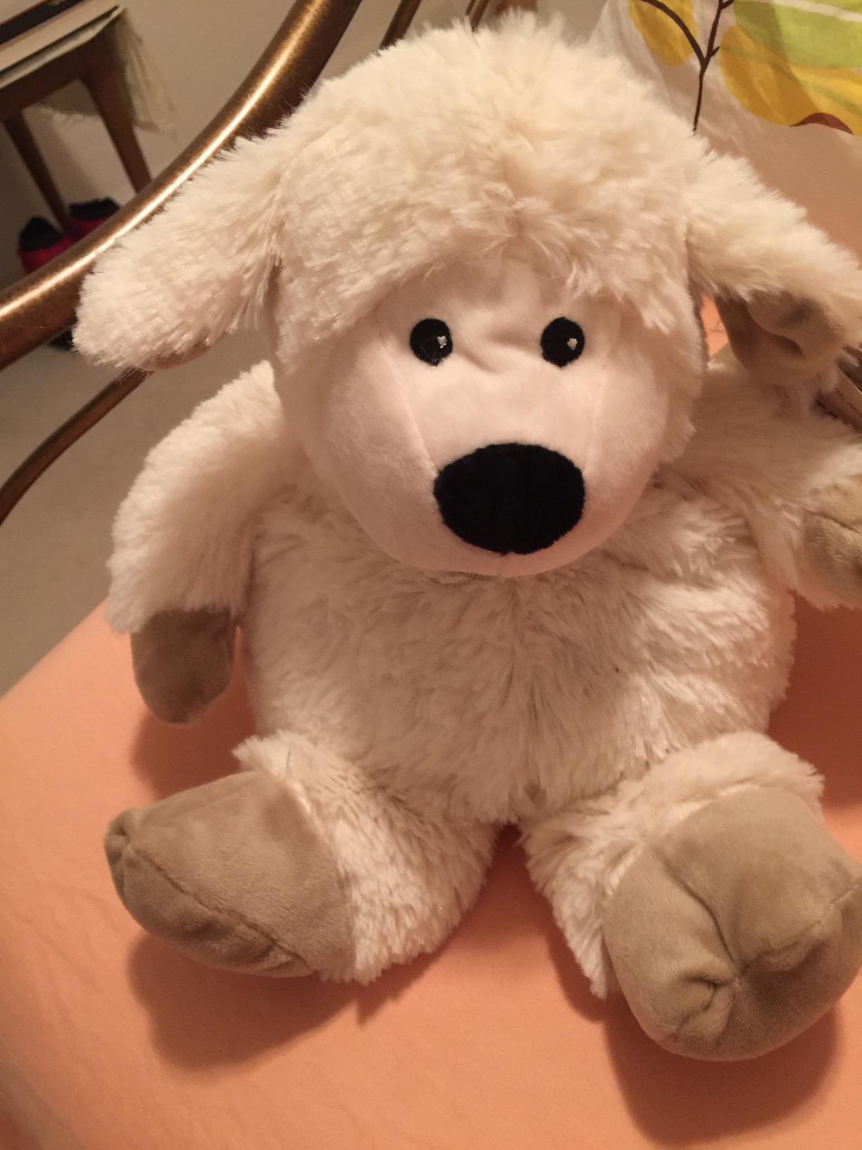 Warmies Microwavable Stuffed Animal, Sheep, French Lavender Scented Plush | Heatable, Weighted customer photo 2