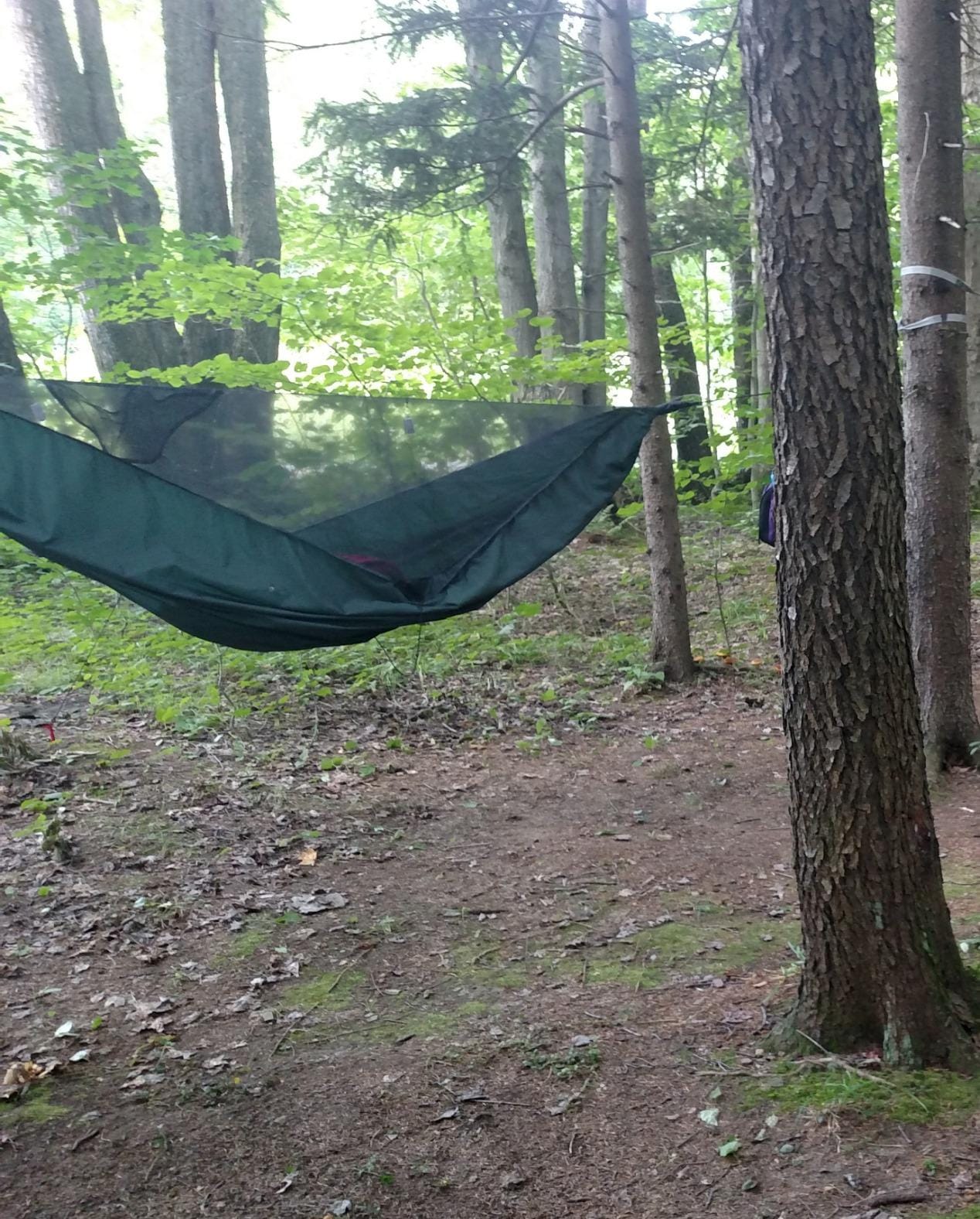Hennessy Hammock Expedition Classic customer photo 1