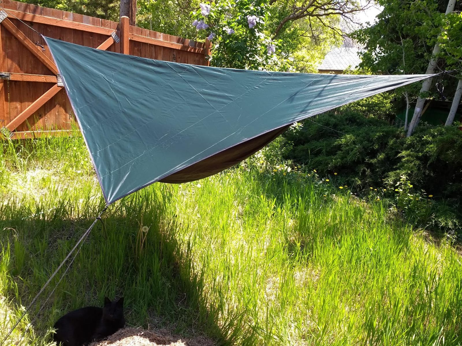 Hennessy Hammock Expedition Classic customer photo 2