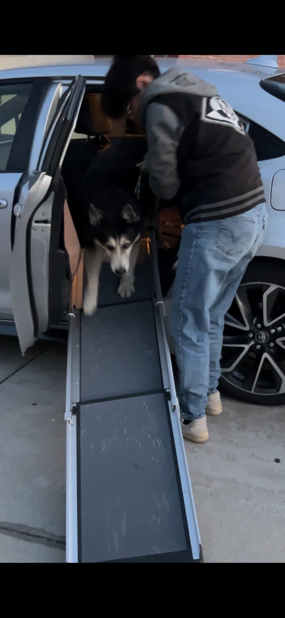 PetSafe Happy Ride Extra Long Telescoping Dog Ramp, Portable Pet Ramp for Cars, Trucks & SUVs with Adjustable Sizing customer photo 2