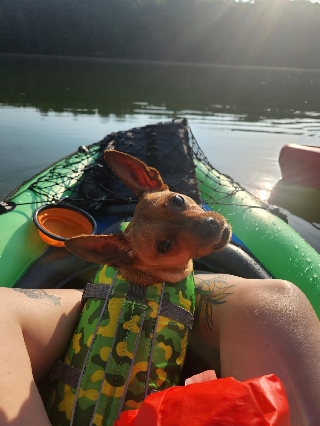 INTEX Challenger Inflatable Kayak Series: Includes Deluxe 86in Kayak Paddles and High-Output Pump - SuperStrong PVC - Adjustable Seat with Backrest - Removable Skeg - Cargo Storage Net customer photo 1
