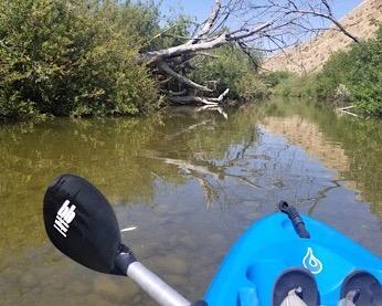 Bending Branches Whisper Kayak Paddle - 2-Piece Aluminum Shaft, Polypropylene Blades, Adjustable 0/60 Feathering, Black Comfort Grips, Dihedral Blade Design for Recreational Paddling customer photo 2