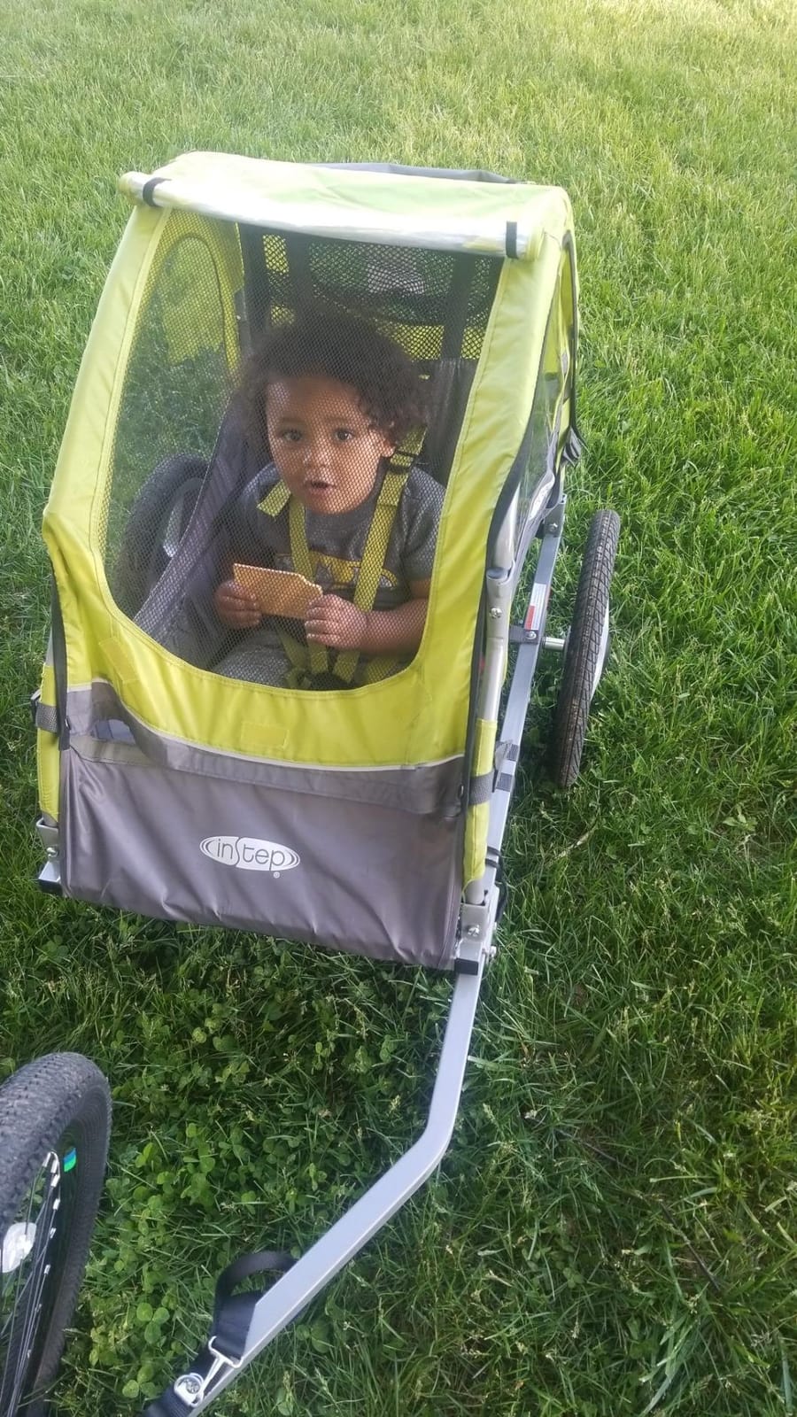 Sync Single Seat Bike Child Trailer, Max Weight 40 lbs., 5-Point Harness, Folding Frame, Quick Release Wheels, Easy Storage, Bug Screen & Weather Shield, Green/Grey customer photo 2