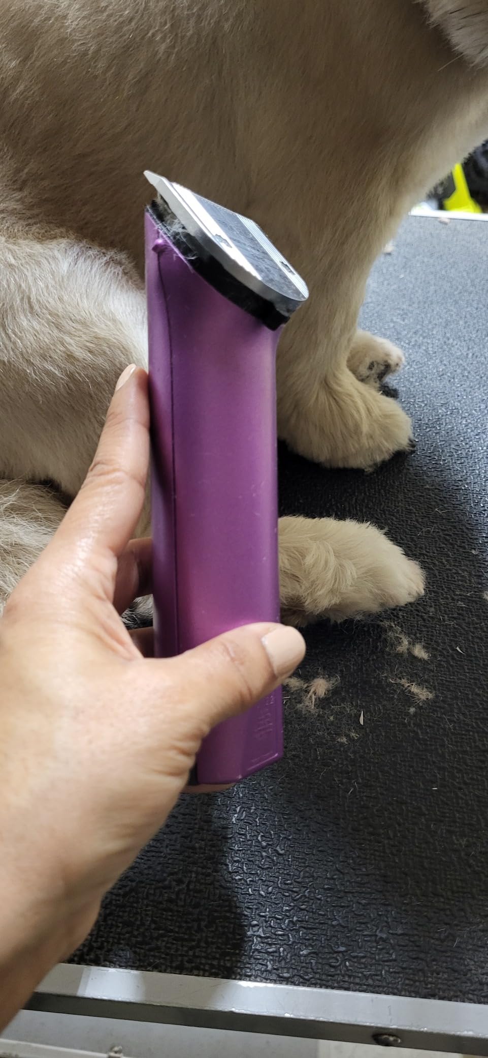 Wahl Professional Animal Arco Cordless Clipper Kit, 8786-452, Champagne | Professional-Grade Pet Clippers for Grooming, 5-in-1 Fine Adjustable Blade, Perfect for Cats and Small to Medium-Sized Dogs customer photo 2