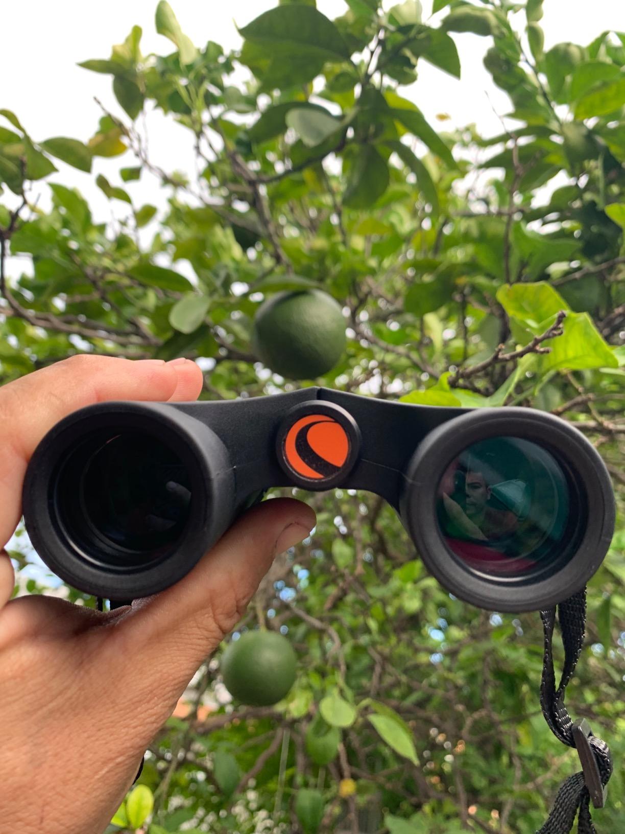 Celestron Outland X 8x25 Pocket Binoculars for Travel & Sports | Pocket-Sized Performance Binocular, 8x Magnification, Rubber-Armored Body, Waterproof, BaK-4 Prisms, Multi-Coated Optics customer photo 2
