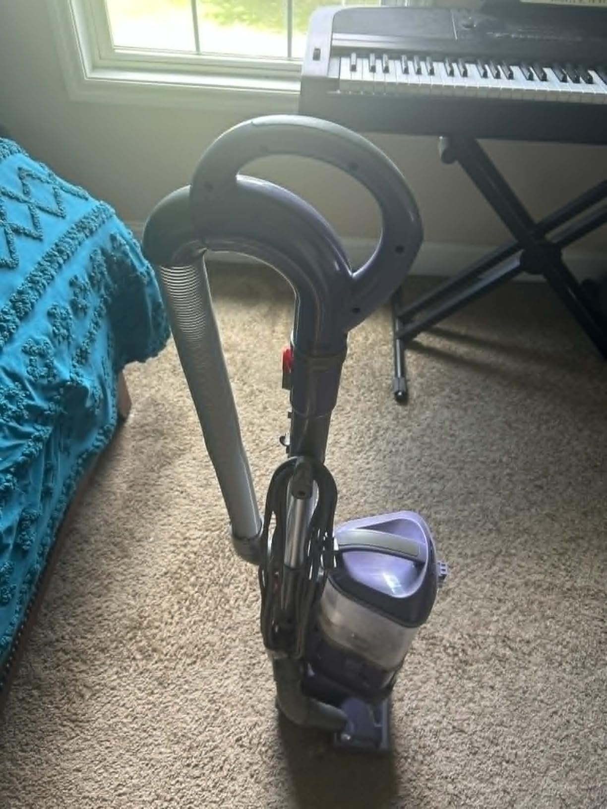 Shark Navigator Lift-Away Upright Vacuum, HEPA, Pet Hair, Lavender, NV352 | Carpet and Hard Floor Cleaning, Swivel Steering, Brushroll Shutoff, 1.04L Dust Cup, Wide Upholstery and 12-in Crevice Tools customer photo 2