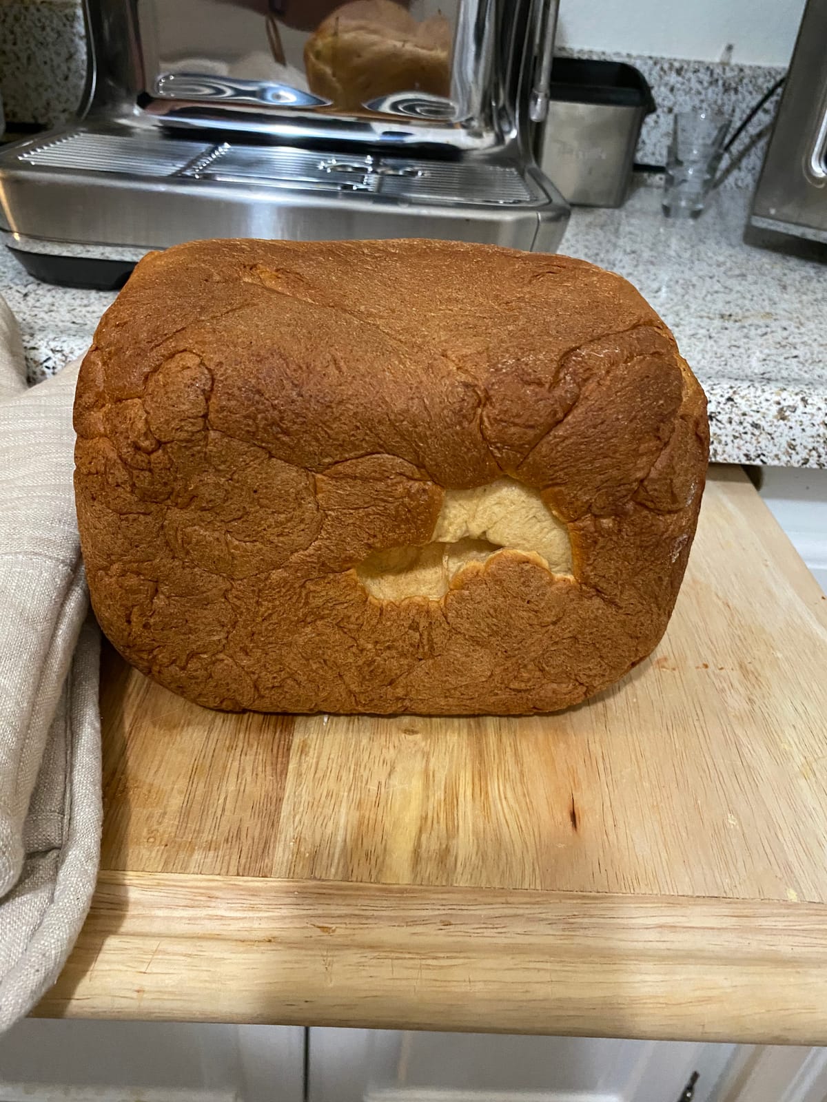 Breville BBM800XL Custom Loaf Bread Maker Machine, Brushed Stainless Steel customer photo 1