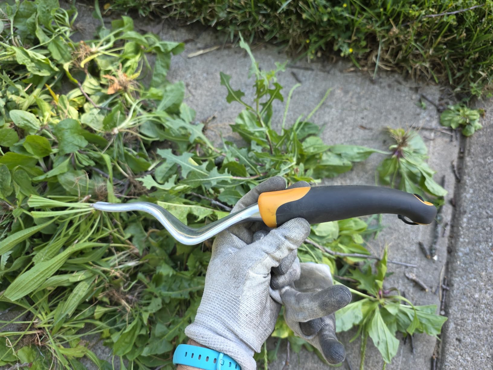 Fiskars Ergo Garden Hand Weeder Tool, Heavy Duty for Removing Weeds & Roots | Angled Cast Aluminum Head for Leverage, Ergonomic SoftGrip Handle, Hang Hole Storage, Dandelions and Thistles customer photo 2
