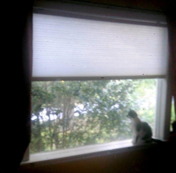 Arlo Blinds Single Cell Light Filtering Cordless Cellular Shades, Color: Pure White, Size: 35