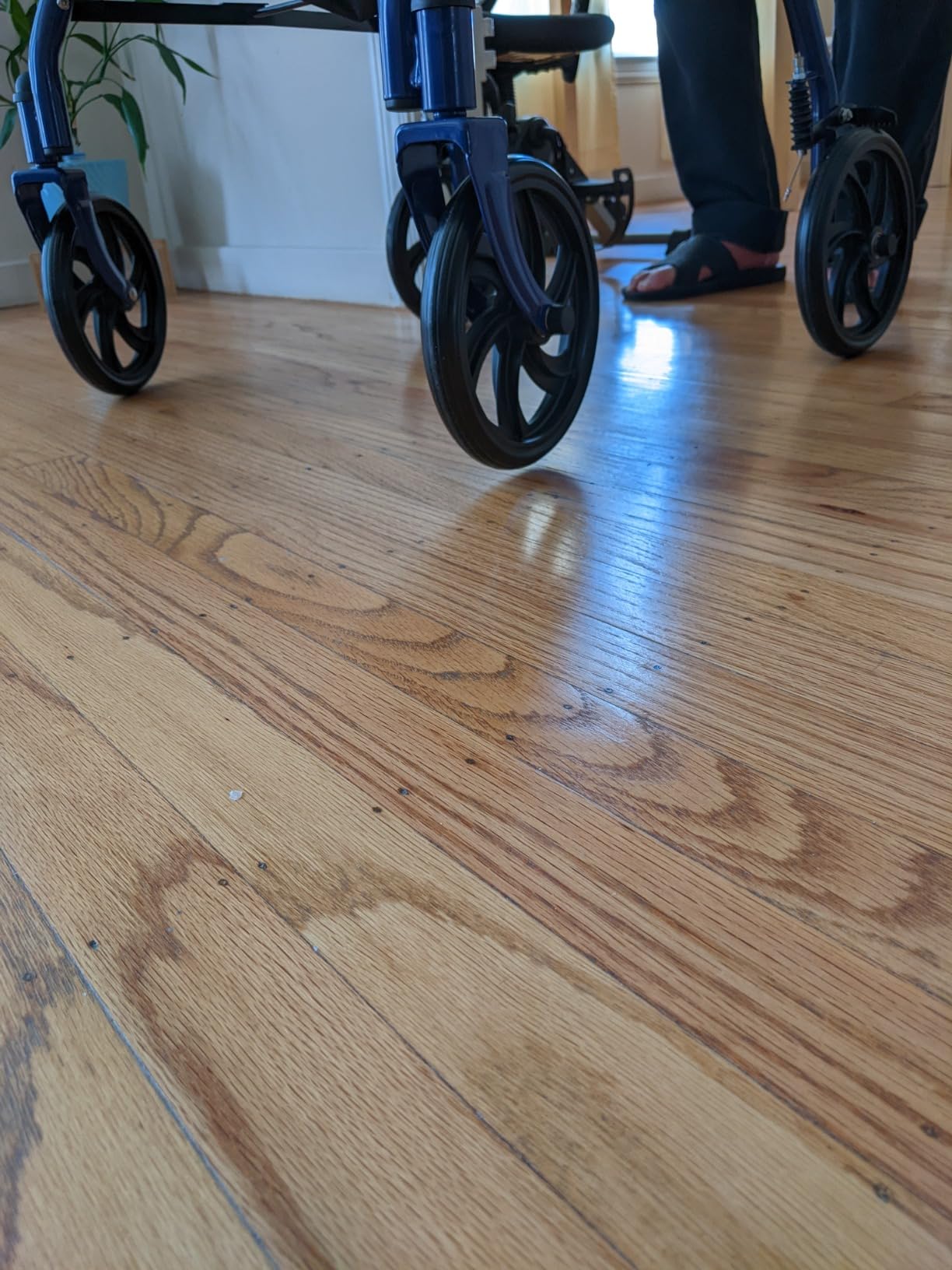 Drive Medical Rollator Walker with Seat, 7.5 Inch Wheels, Red customer photo 1