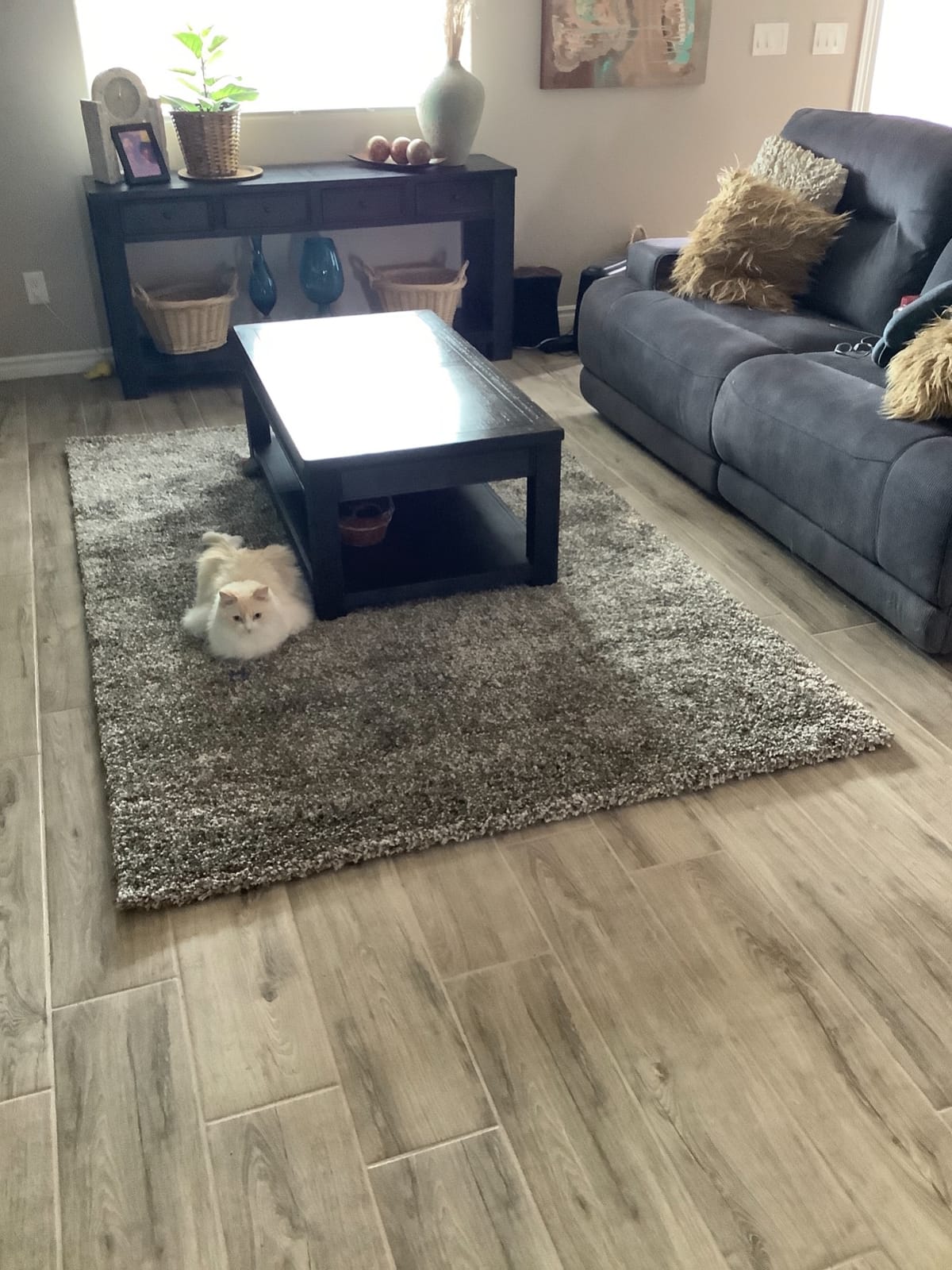 SAFAVIEH Milan Shag Collection Area Rug - 8' x 10', Dark Beige, Solid Design, Non-Shedding & Easy to Clean, Plush Thick Pile customer photo 2