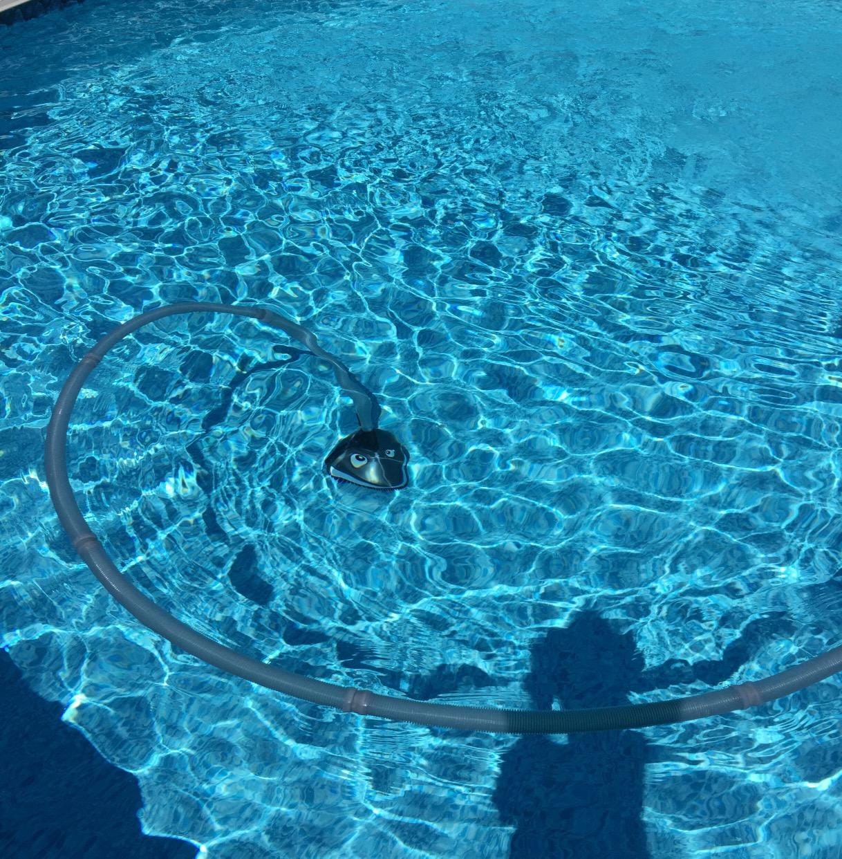 Pentair 360100 Kreepy Krauly Lil Shark Above Ground Pool Cleaner customer photo 1