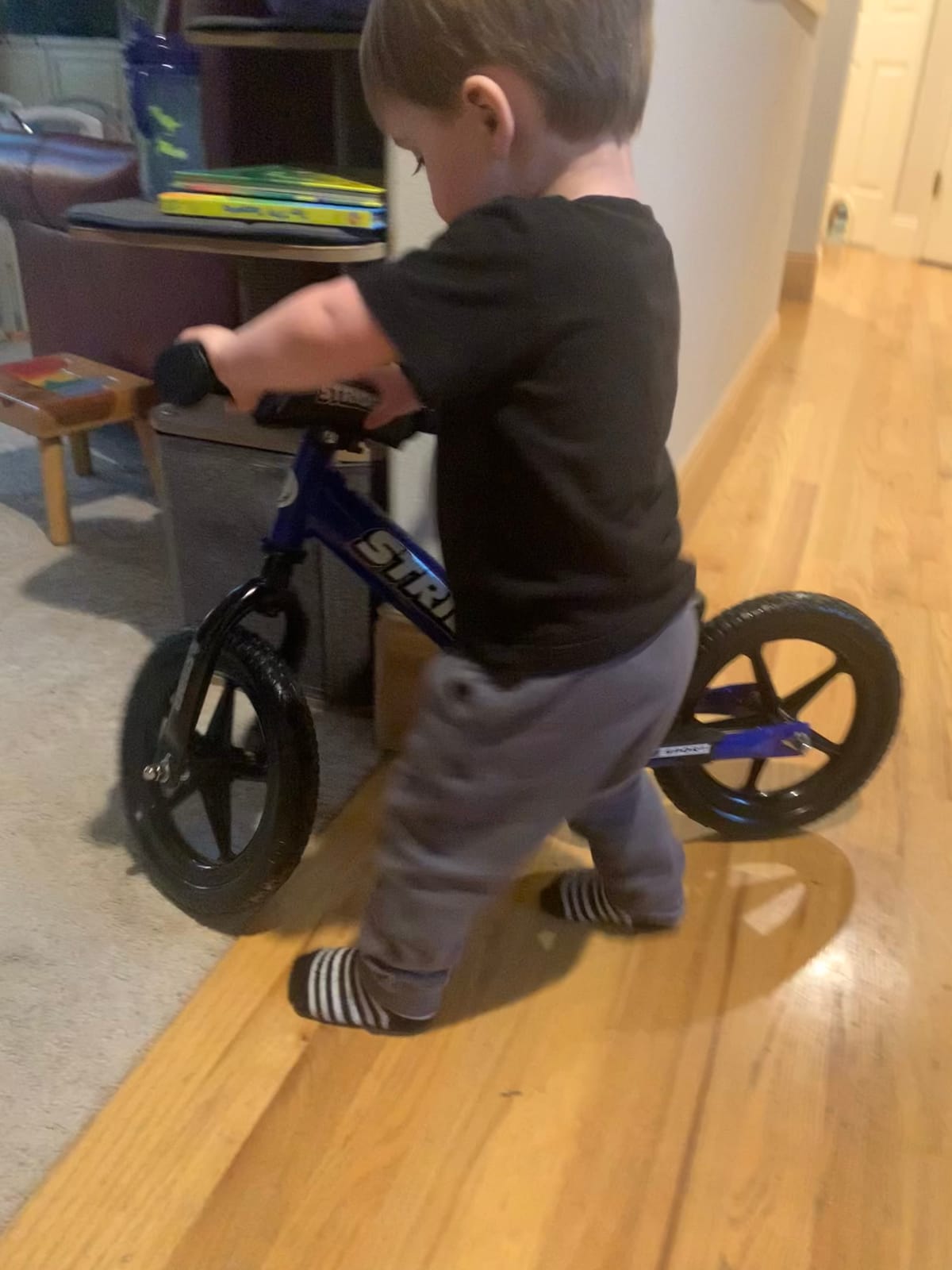 Strider 12 Sport, No Pedal Balance Bike for Kids Ages 1-4 Years, Blue | No-Pedal Balance Bike for Toddlers, Safety Pad, Adjustable Seat and Handlebars Lightweight Frame, Never-Flat Tires customer photo 1