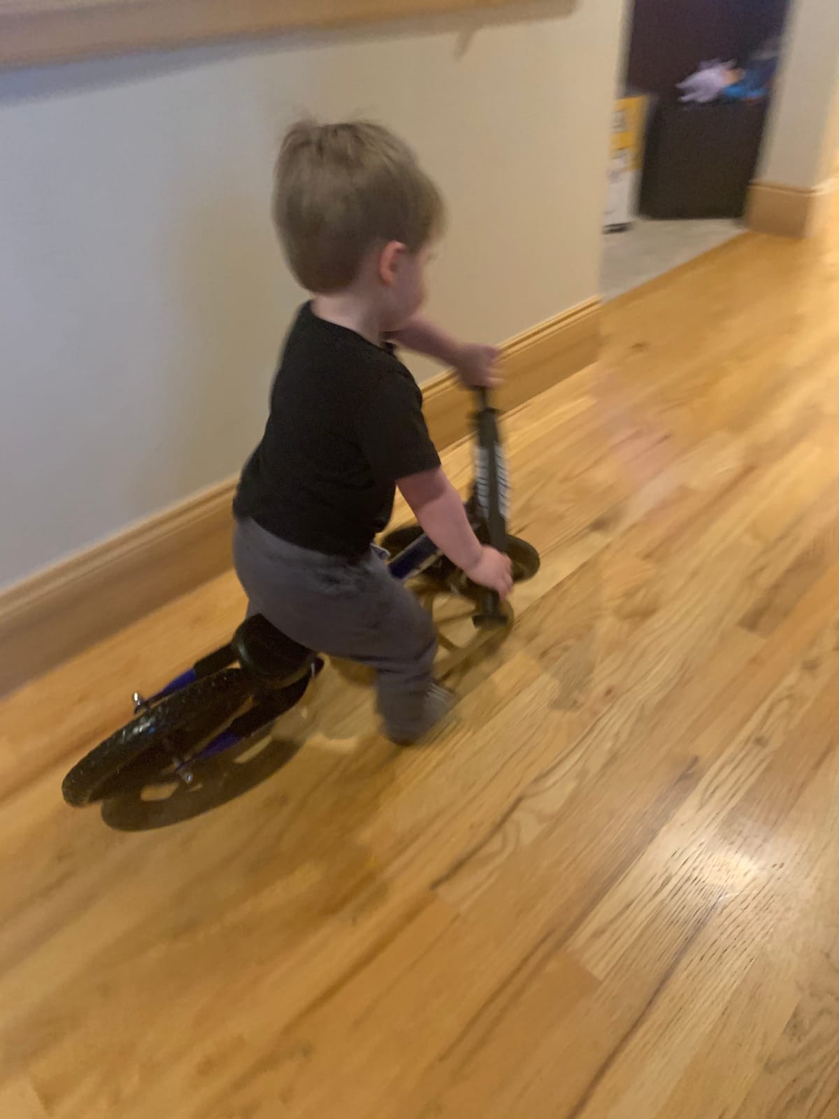 Strider 12 Sport, No Pedal Balance Bike for Kids Ages 1-4 Years, Blue | No-Pedal Balance Bike for Toddlers, Safety Pad, Adjustable Seat and Handlebars Lightweight Frame, Never-Flat Tires customer photo 2
