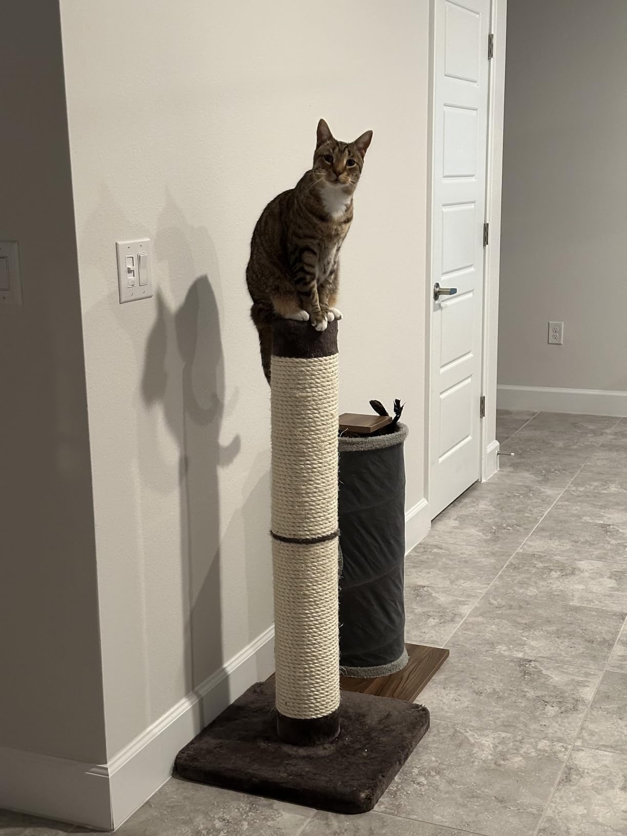MidWest Homes for Pets Feline Nuvo Grand Forte Scratching Post, 41 Inches Tall, Heavy-Duty Sisal Post with Wide Base, Thick Brown Faux Fur, for Large and Multi-Cat Households customer photo 1