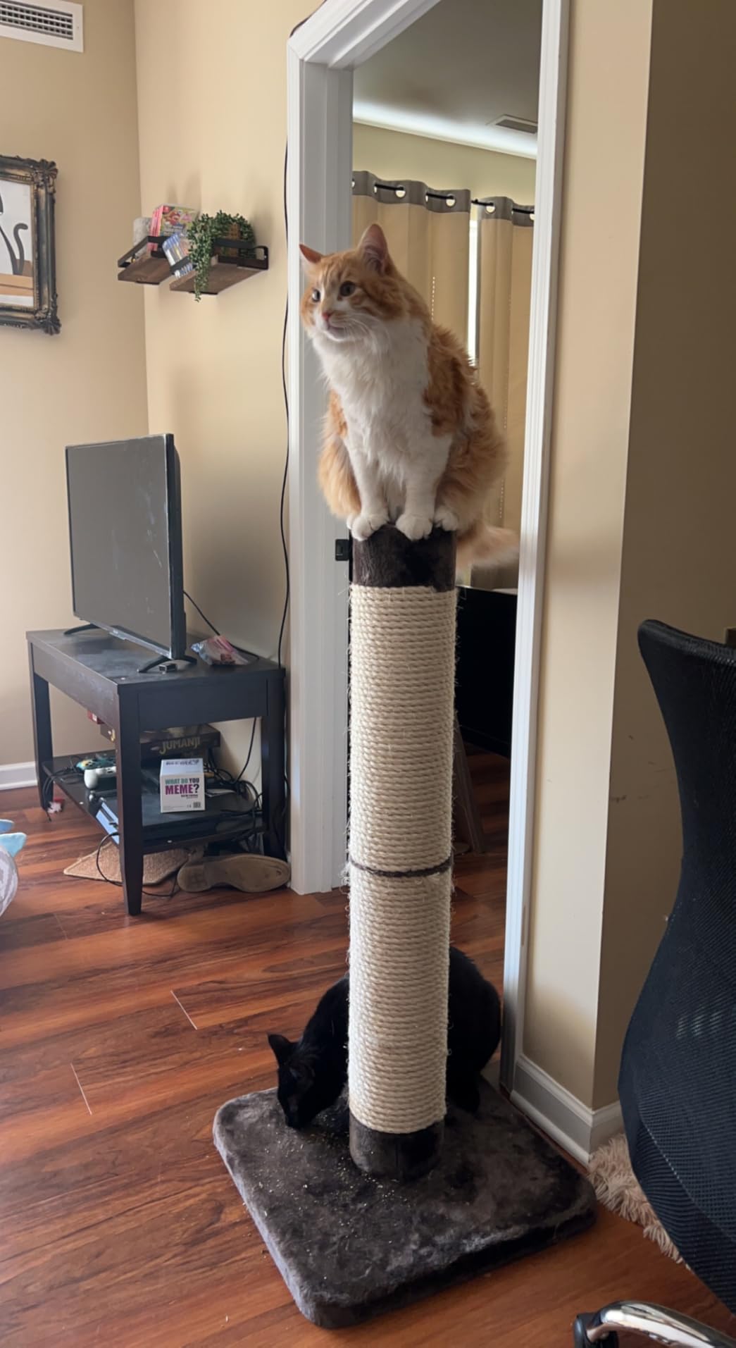 MidWest Homes for Pets Feline Nuvo Grand Forte Scratching Post, 41 Inches Tall, Heavy-Duty Sisal Post with Wide Base, Thick Brown Faux Fur, for Large and Multi-Cat Households customer photo 2
