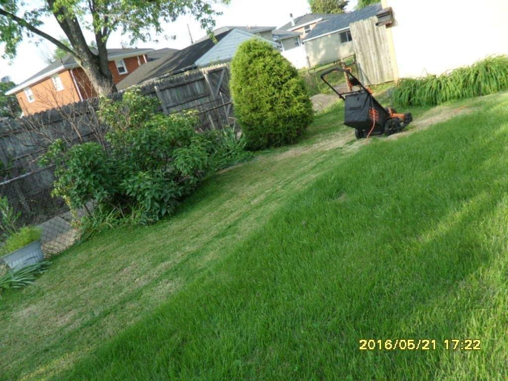 BLACK+DECKER 20-Inch Corded Electric Lawn Mower, Ultra Light Push Mower, 13-Amp High Output Motor, 3 in 1 Cutting Versatility, Tool Free Height Adjustment, 7-setting Cutting Height (MM2000) customer photo 1