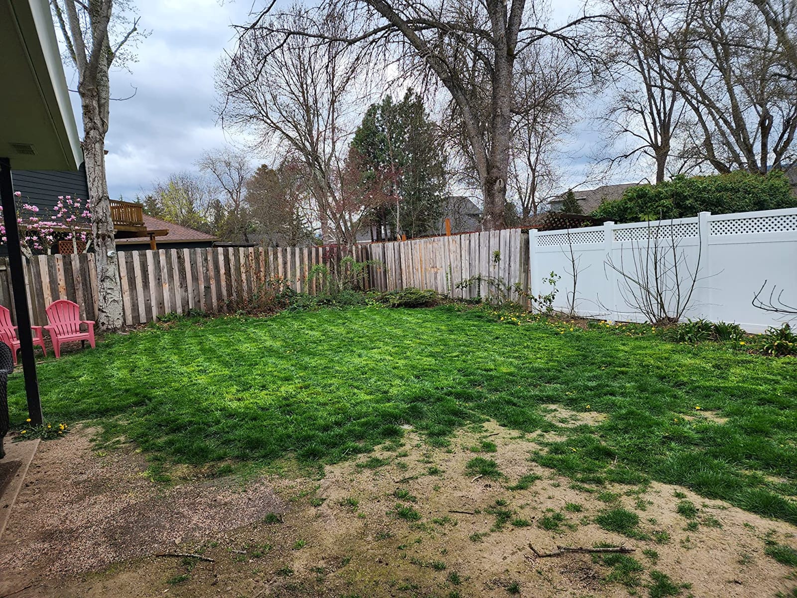 BLACK+DECKER 20-Inch Corded Electric Lawn Mower, Ultra Light Push Mower, 13-Amp High Output Motor, 3 in 1 Cutting Versatility, Tool Free Height Adjustment, 7-setting Cutting Height (MM2000) customer photo 2