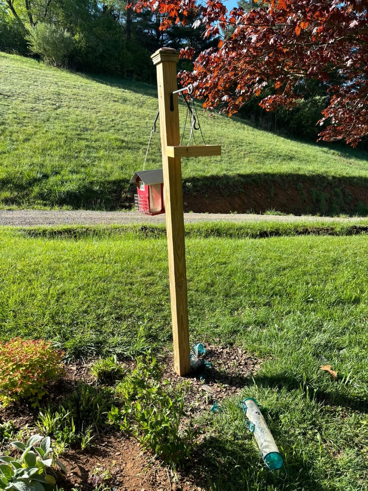 Wild Wings WWCF23 Rot Resistant Cedar Hanging Tray Bird Feeder with Fresh Seed Tray, Platform Feeder for Outdoor Wild Bird Seed Feeder and Décor, Wood customer photo 2