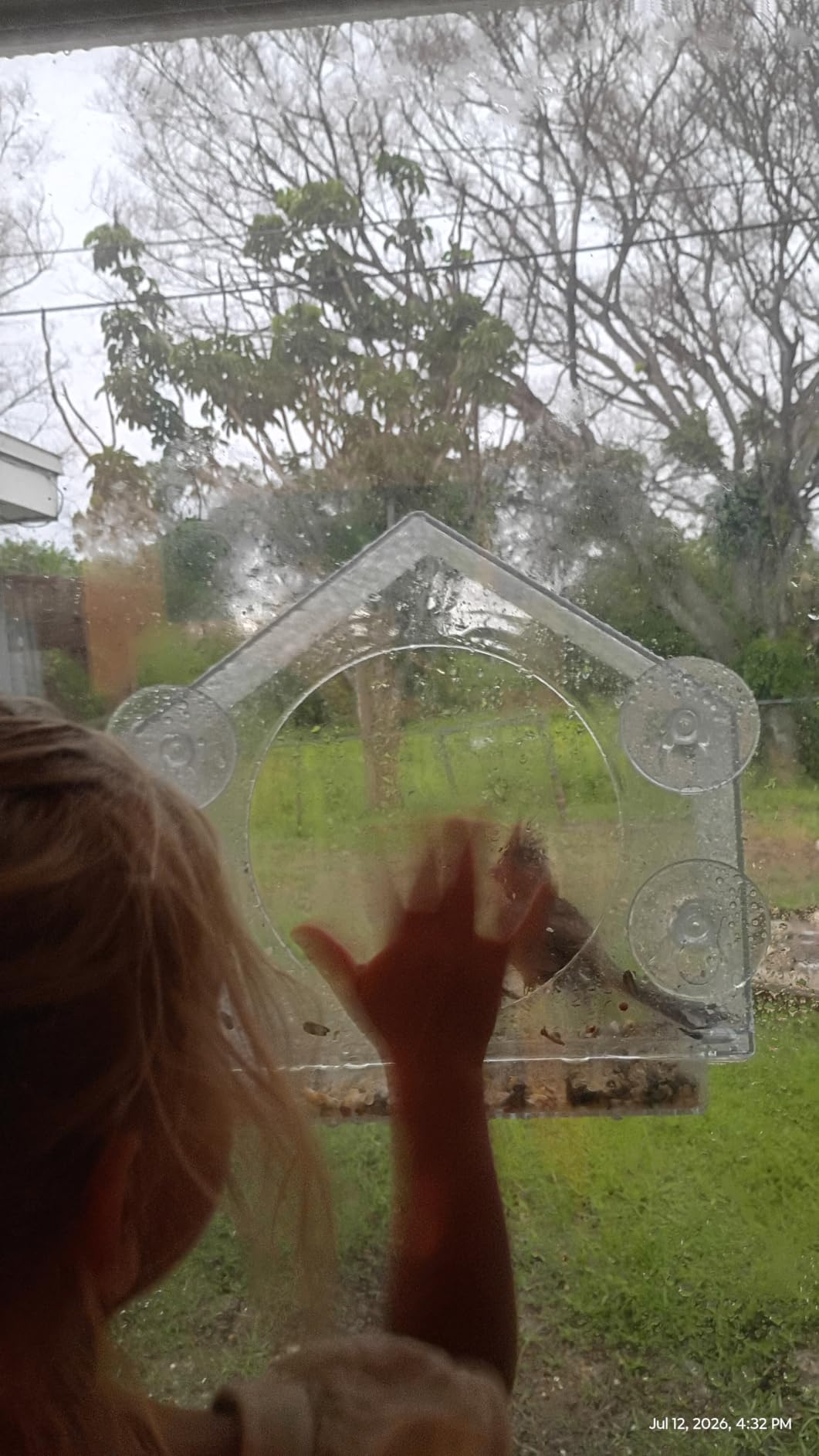 Window Bird Feeder with Strong Suction Cups, Bird Feeders for Outdoors | Clear window bird feeder, works as a balcony bird feeder too, no mess sliding seed tray, weatherproof acrylic, easy to clean customer photo 1
