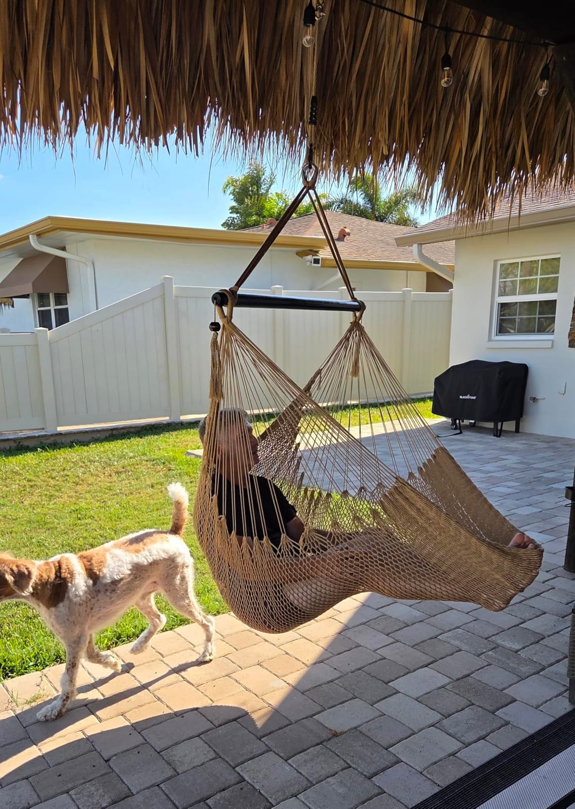 Sunnydaze Hanging Hammock Chair Swing for Patio, Caribbean, Sky Blue | 300 lb Capacity, Wooden Spreader Bar, Woven Polyester, Hang From a Tree, Hammock Chair Stand, or Ceiling, Hammock Swing Chair customer photo 2