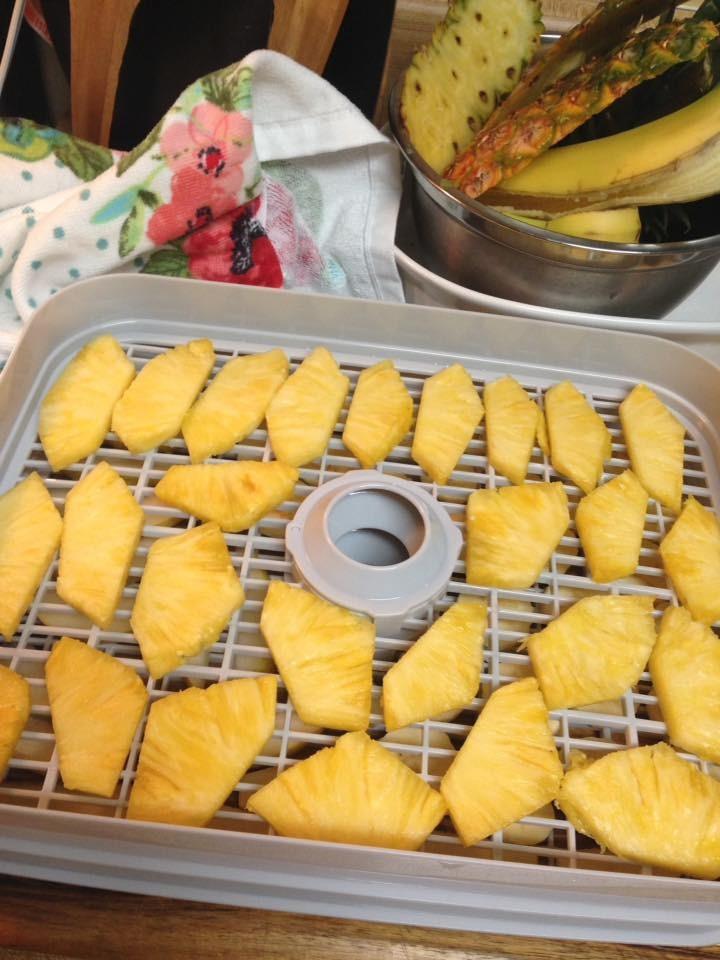 Hamilton Beach Digital Food Dehydrator for Fruit, Jerky, Vegetables & More customer photo 2