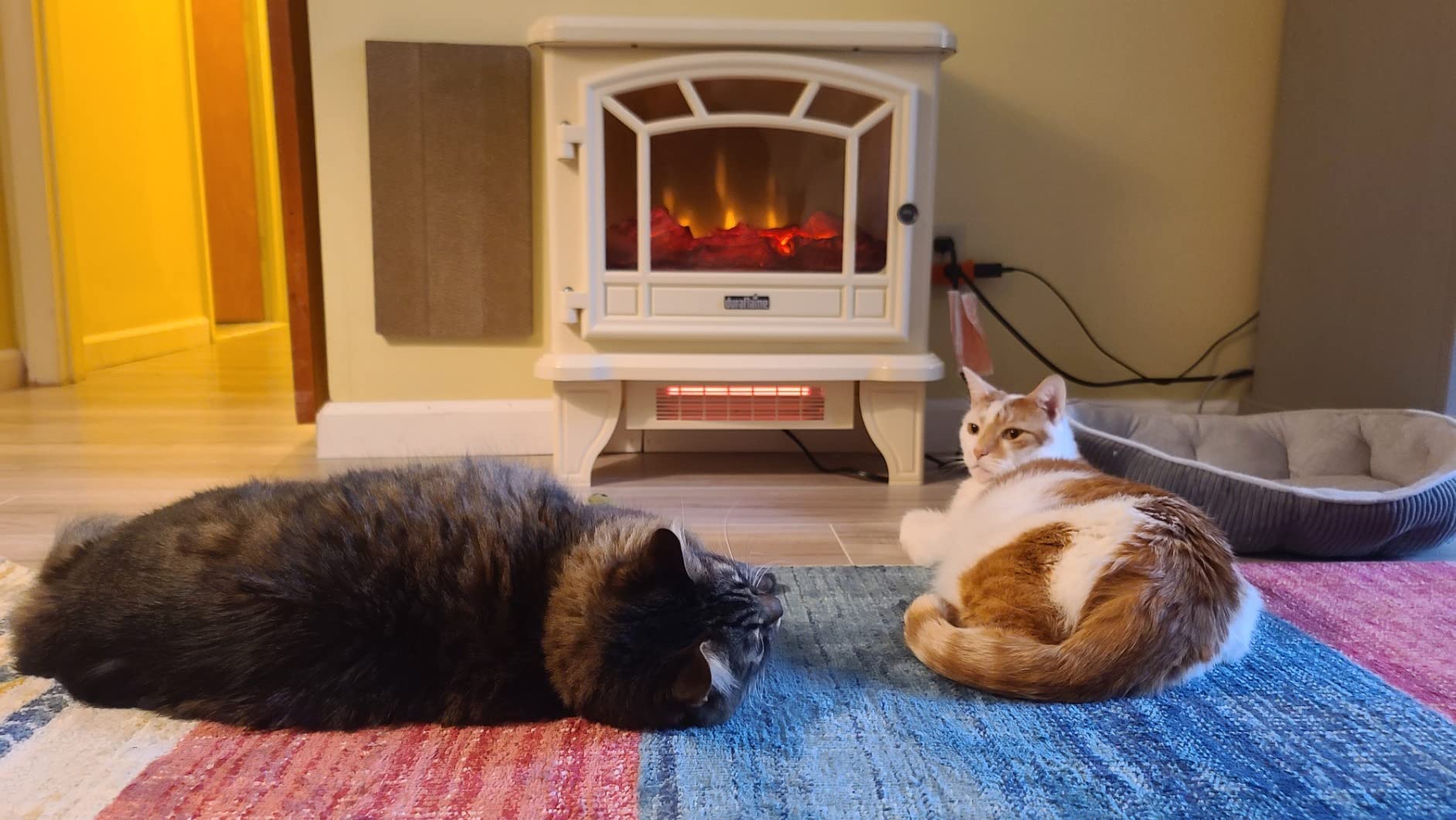 duraflame Infrared Quartz Electric Fireplace Stove Heater, Black customer photo 2