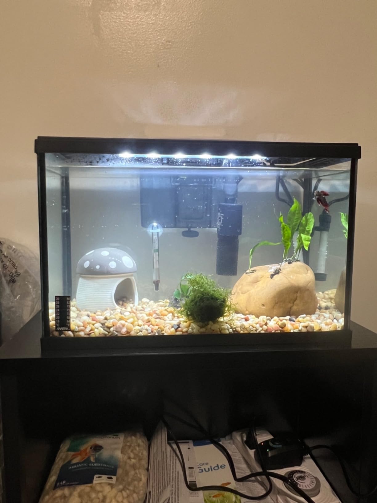 Marina 5 Gallon (19 L) LED Aquarium Kit | Ideal for Beginner Aquarists and New Fish-Keepers customer photo 1