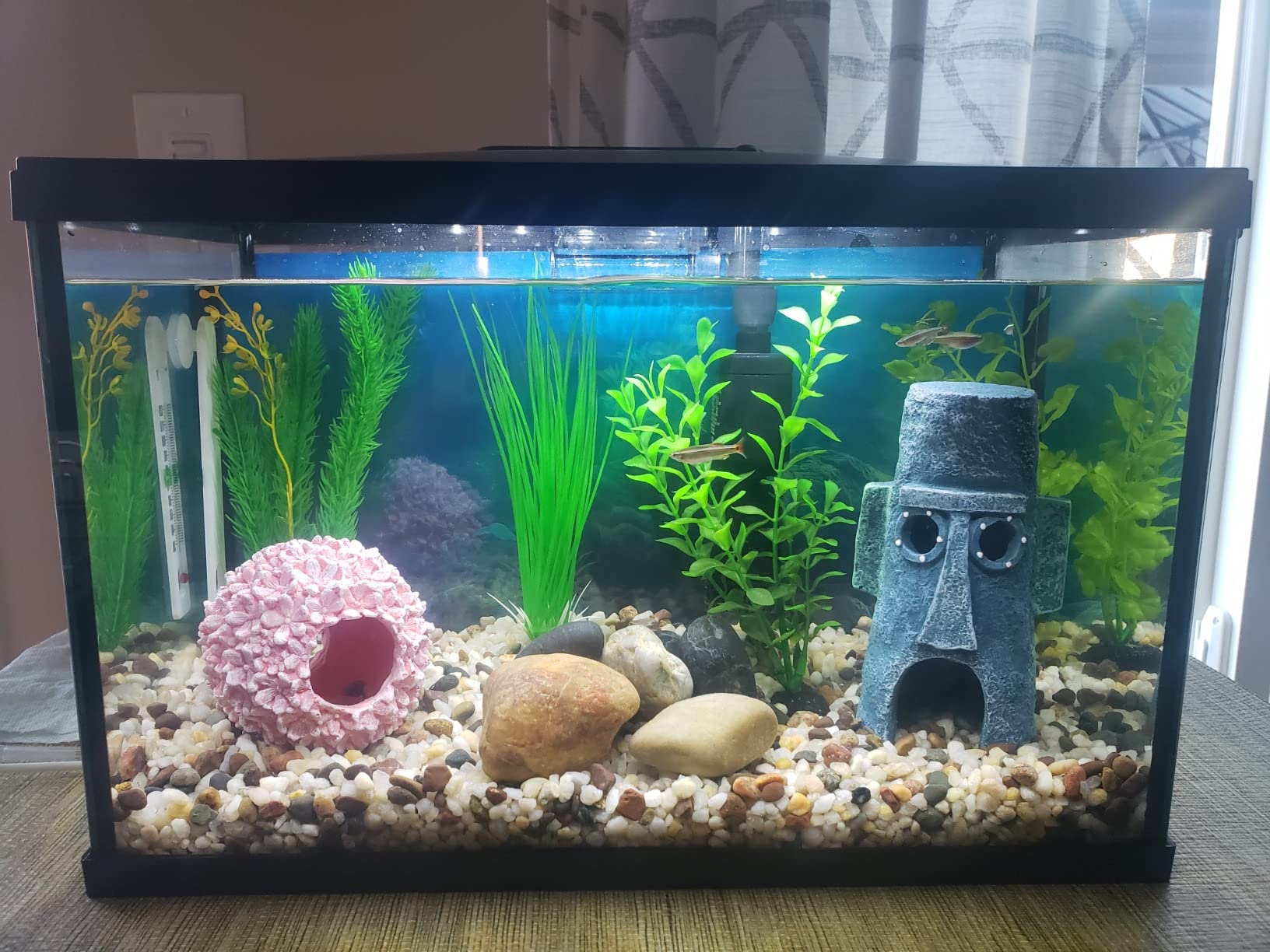 Marina 5 Gallon (19 L) LED Aquarium Kit | Ideal for Beginner Aquarists and New Fish-Keepers customer photo 2