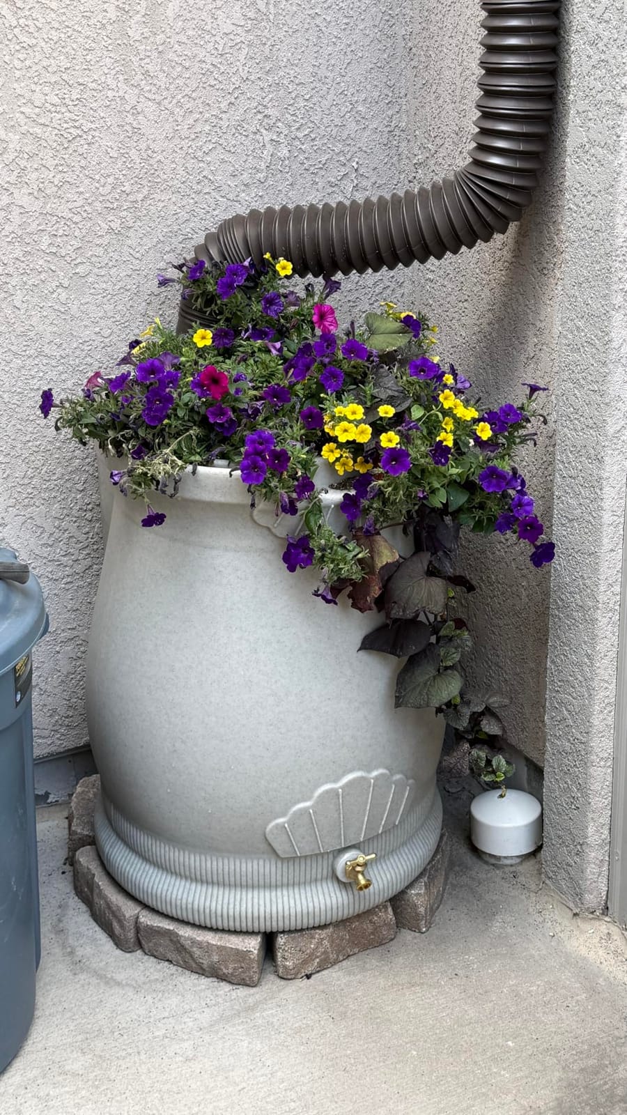 Good Ideas Rain Wizard Urn Shaped Water Collection Barrel, 50 Gallon | Light Granite- Plastic Resin Rain Barrel, Rainwater Collector with Self-Draining Planter Top & Meshed Screen to Block Debris customer photo 2