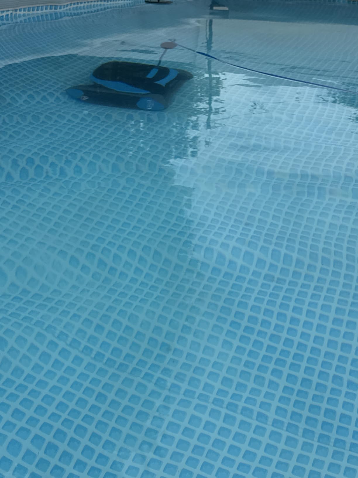 Dolphin (2026 Model) Nautilus AG Automatic Robotic Pool Vacuum Cleaner, Active Scrubber Brush, Top Load Filters Access, Ideal for Above-Ground Pools up to 33 FT in Length customer photo 1