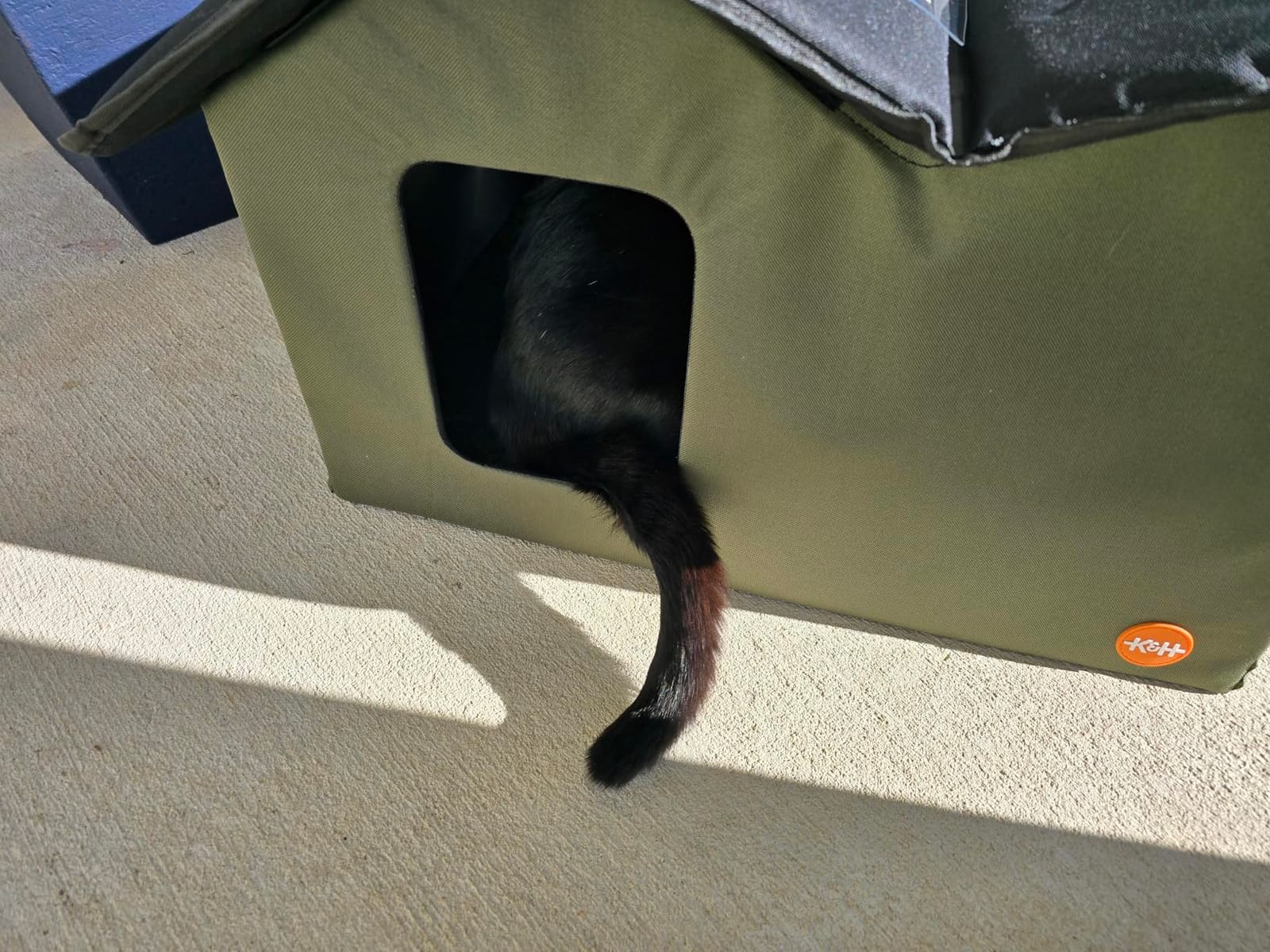 K&H Heated Cat House, Outdoor Extra-Wide Kitty House, Safety Listed, 20W | Heated Cat House for Outside, Weatherproof Shelter for Ferals, Insulated Shelter, 2 Doors, Waterproof Kitty Bed, Olive customer photo 1