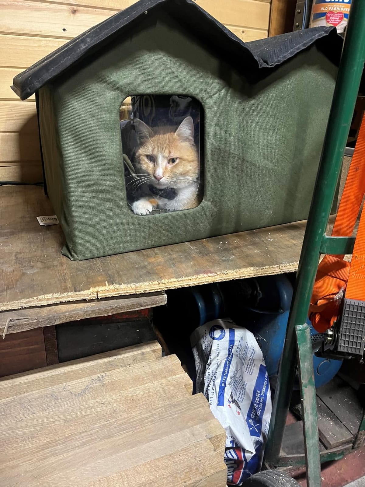 K&H Heated Cat House, Outdoor Extra-Wide Kitty House, Safety Listed, 20W | Heated Cat House for Outside, Weatherproof Shelter for Ferals, Insulated Shelter, 2 Doors, Waterproof Kitty Bed, Olive customer photo 2