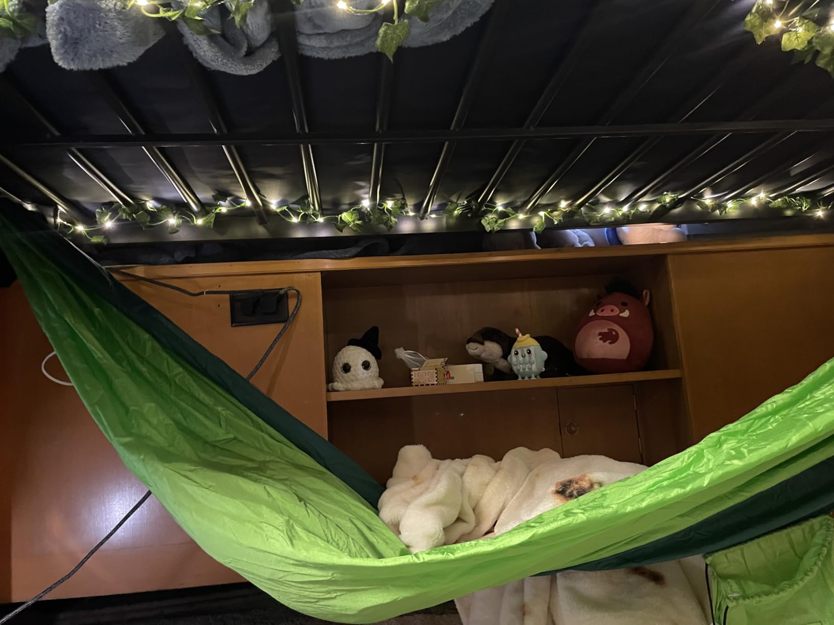NATUREFUN Ultra-Light Travel Camping Hammock - 300kg Load Capacity customer photo 2