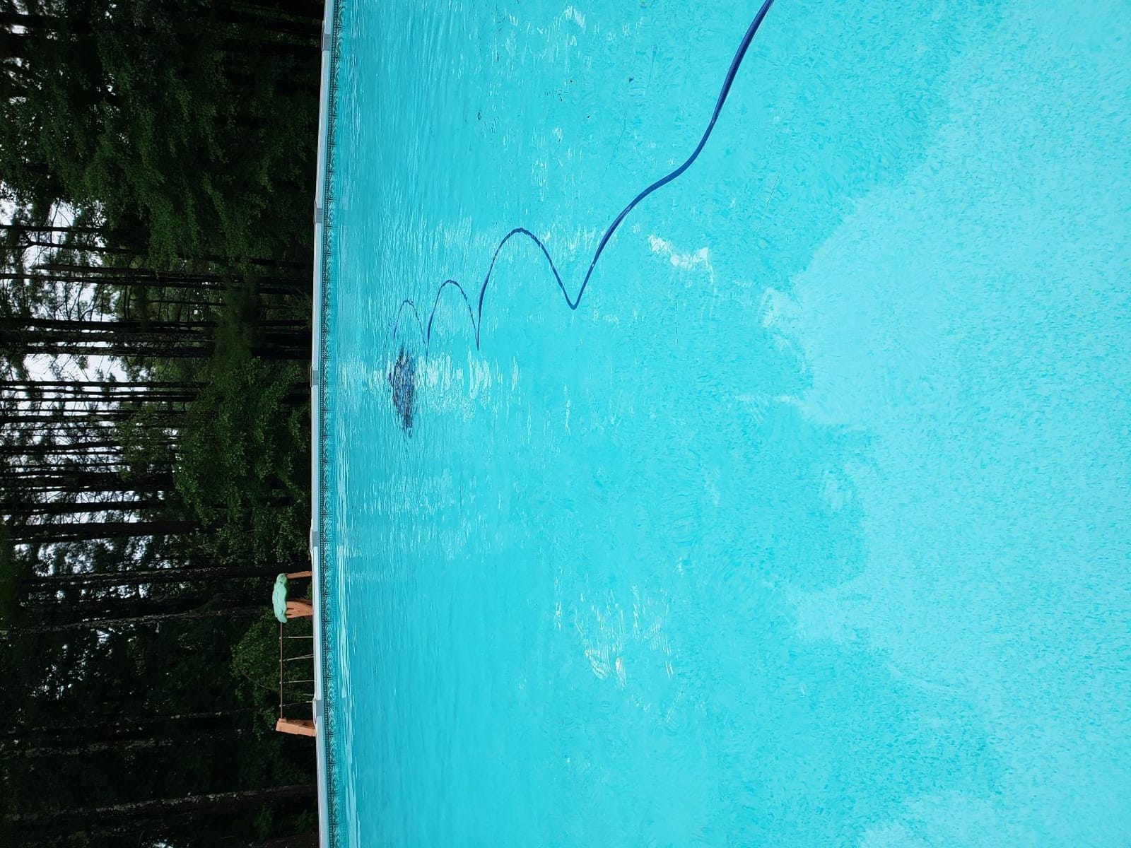 Dolphin Escape Robotic Pool Cleaner (2026 Model) - Massive Top-Loading Filter, Dual Motors, HyperBrush, HyperGrip Tracks, Smart Navigation - for Above Ground & In-Ground Pools up to 33ft customer photo 2