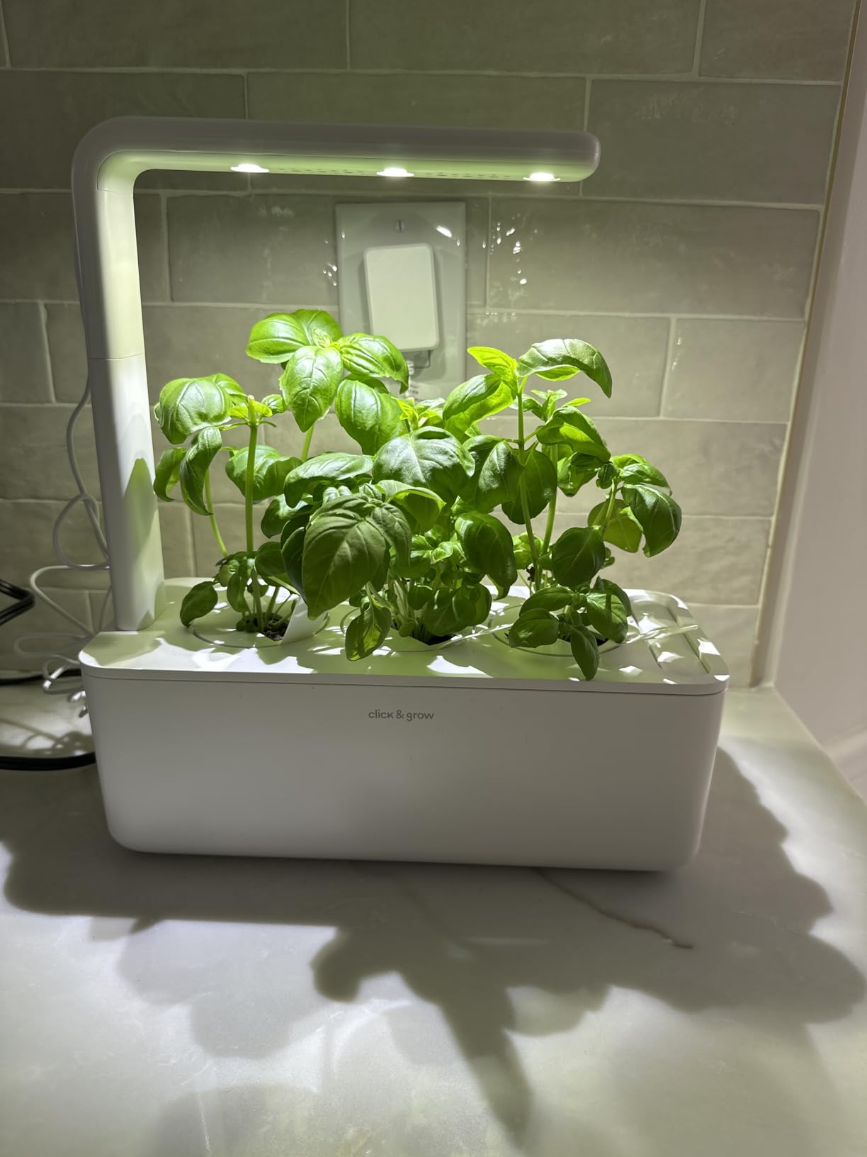 Click & Grow Indoor Herb Garden Kit with Grow Light customer photo 2
