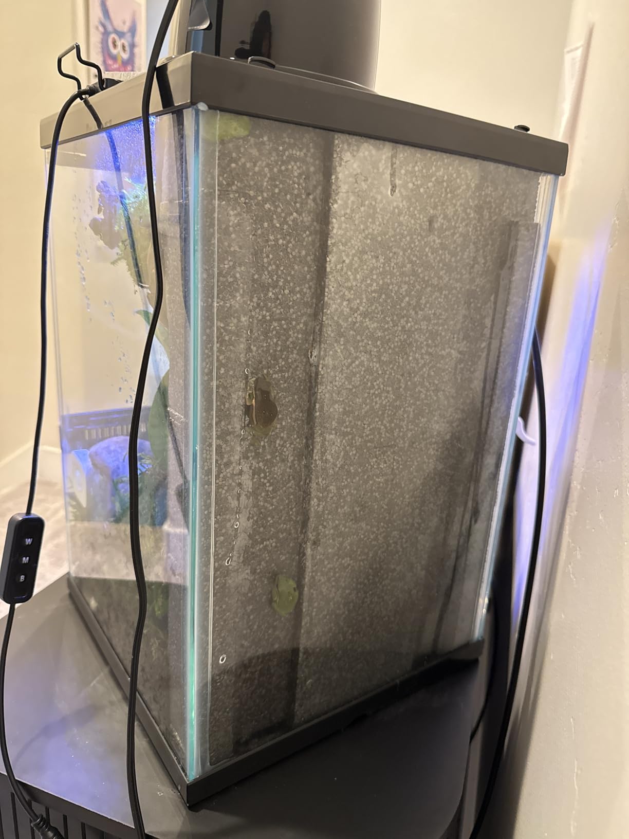 Zilla 11 Gallon Glass Tropical Vertical Terrarium Kit | Easy access for care, gecko tank for small arboreal pets, front-opening door, hinged screen top, tall terrarium customer photo 1