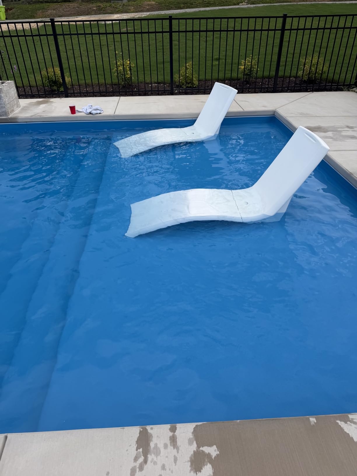 Dolphin Nautilus CC Automatic Robotic Pool Vacuum Cleaner, Wall Climbing Scrubber Brush, Top Load Filter Access, Ideal for Above/In-Ground Pools up to 33 FT in Length customer photo 1