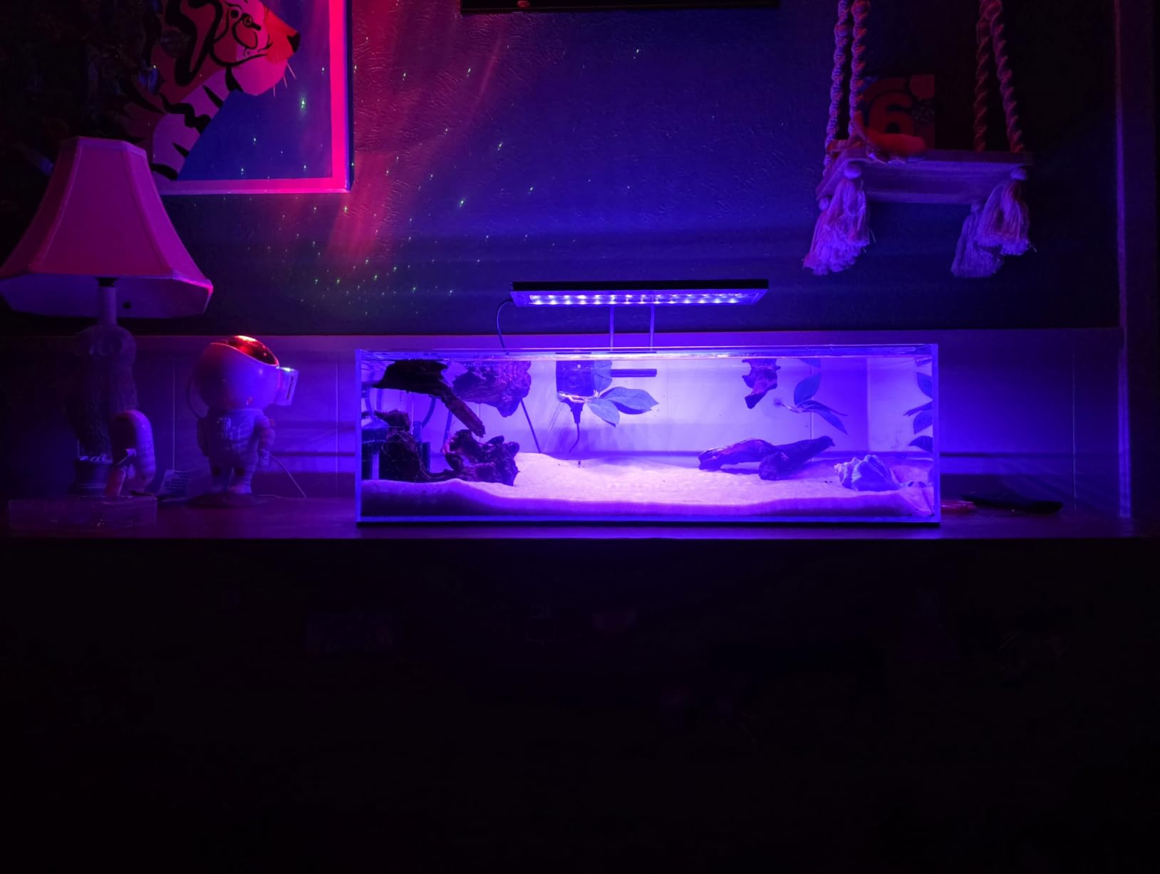 LANDEN 90P 55 Gallon Rimless Low Iron Aquarium Tank, 35.4x19.7x19.7 in, 10mm Thickness with Black Nano Foam Leveling Mat customer photo 1