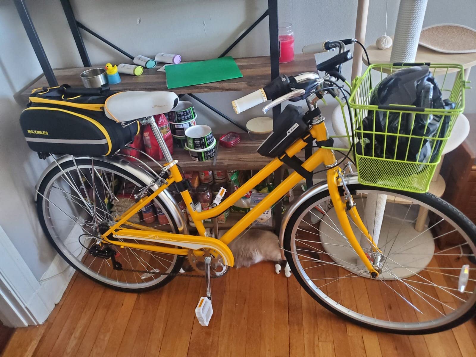 Schwinn Wayfarer Hybrid Bike, 700c Mens and Womens Bike, 7-Speed Hybrid Bicycle, Retro Steel Frame customer photo 1
