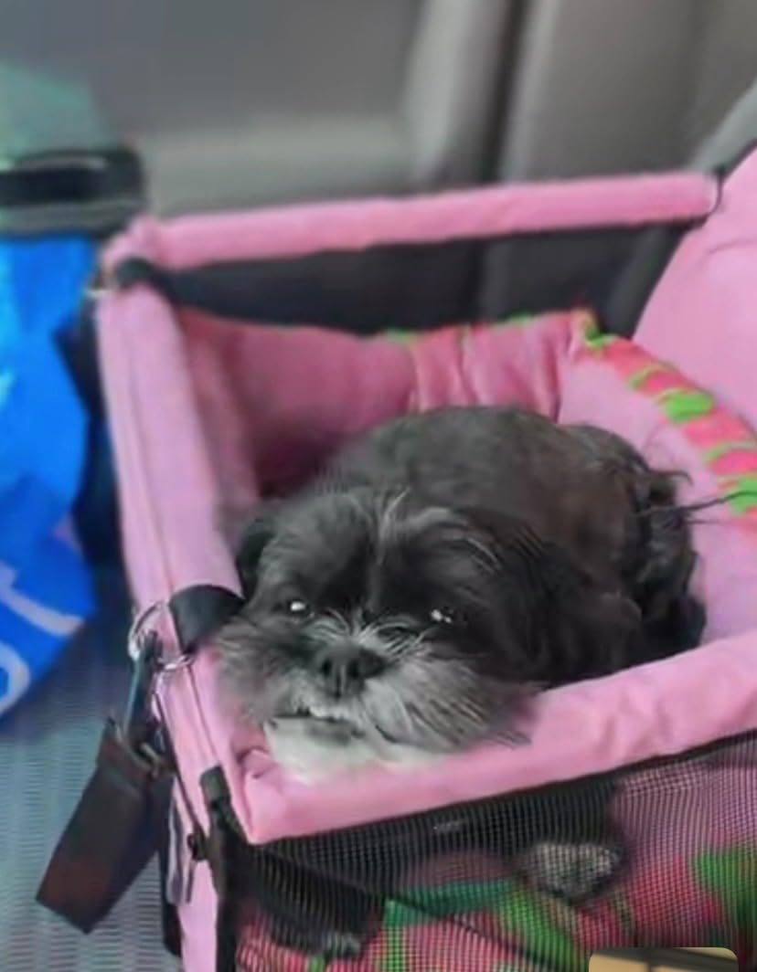 Petbobi Dog Car Seat for Small Dogs and Cats up to 15 lbs, Portable Booster | Pink, Water-resistant Oxford fabric, PVC Tubes, Folds Flat, Clip-on Leash Keeps Pups Secure and Drivers Focused customer photo 1