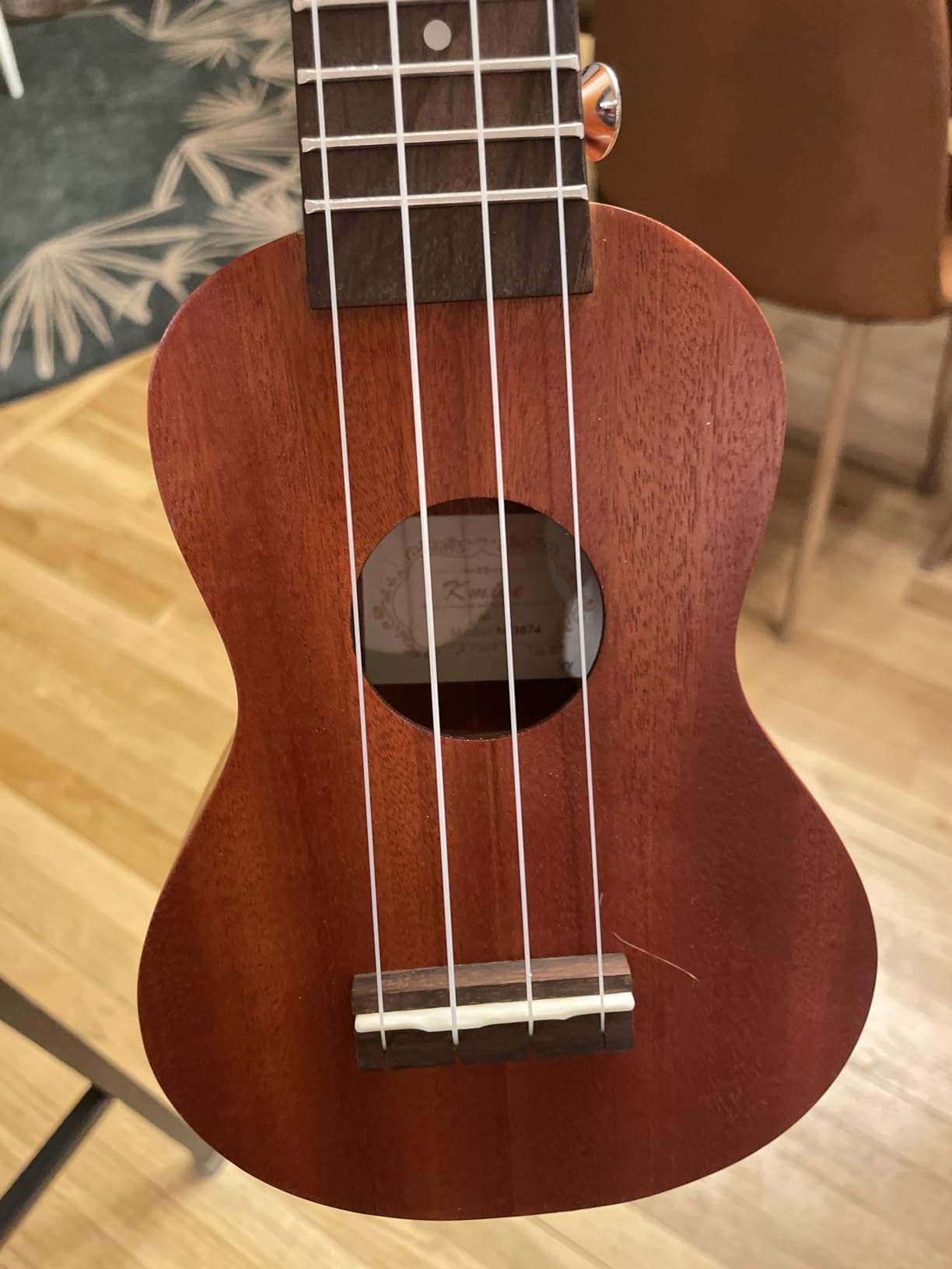 Kmise Professional Ukulele for Adult Beginner, Free Online Lesson 21 inch Soprano Mahogany Ukelele Bundle Starter Kit Gig Bag Case, Strap, Tuner, Nylon Strings, Book, Uke Gift Choice customer photo 2