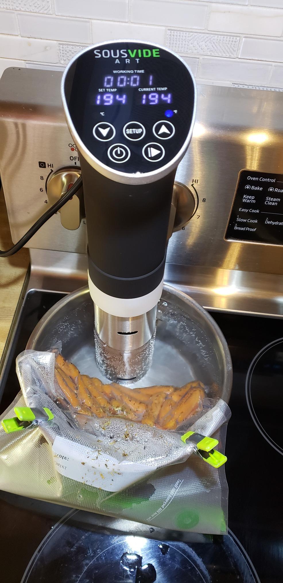 SOUSVIDE ART Sous Vide Cooker Kit - 1000W Immersion Circulator with Vacuum Bags, Pump, Digital Timer and Temperature Control; Complete Sous Vide Machine Cooking Kit for Home Chefs and Beginners customer photo 2