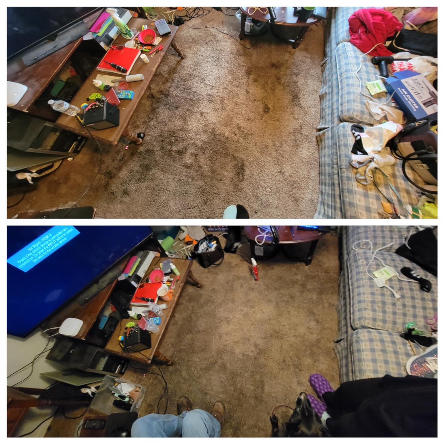 PurSteam 10-in-1 Steam Mop, Floor Steamer with Detachable Handheld Steam Cleaner for Tile, Hardwood Floors customer photo 2