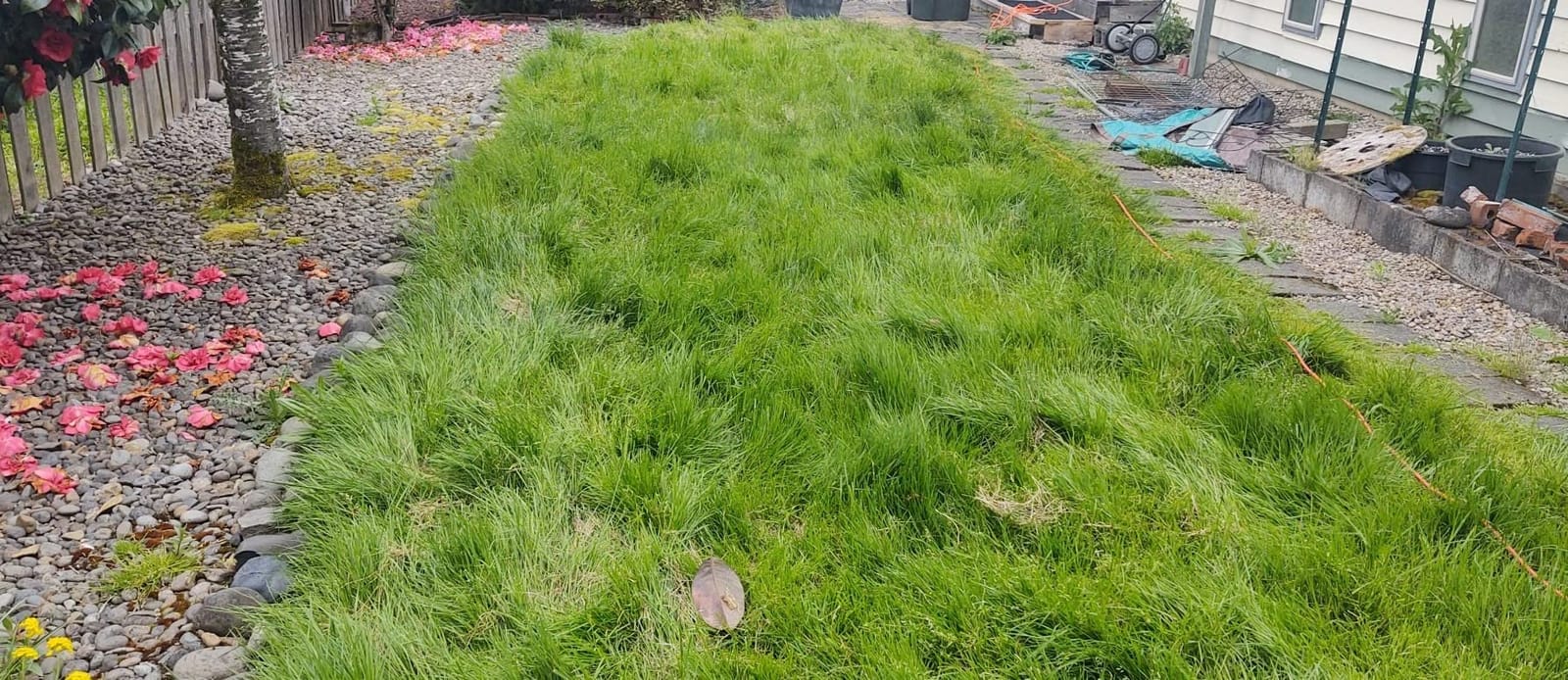 BLACK+DECKER Electric Lawn Mower, Weed Eater and Edger 3-in-1 Combo, Corded 12-Inch 6.5 Amp Electric Weed Wacker and Compact Push Mower (BESTA512CM) customer photo 2